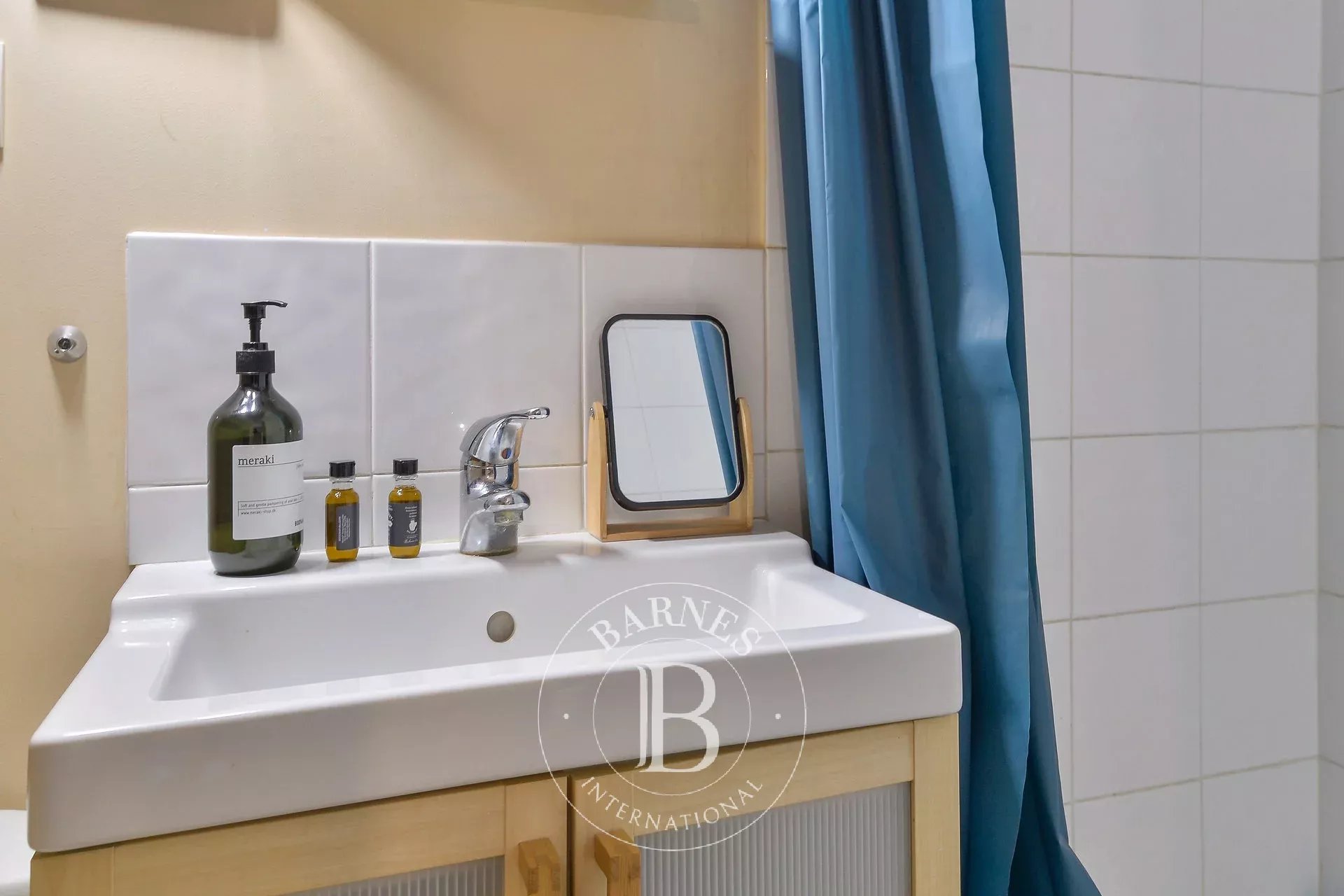 Ev Sainte-Foy-lès-Lyon - picture 10