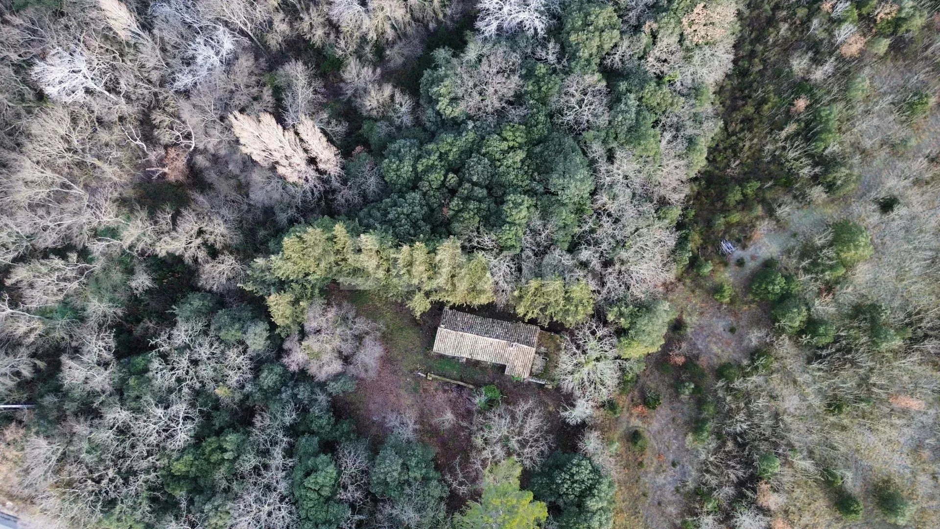 Agence immobilière de THIERRY VEYRADIER AGENCE IMMOBILIER