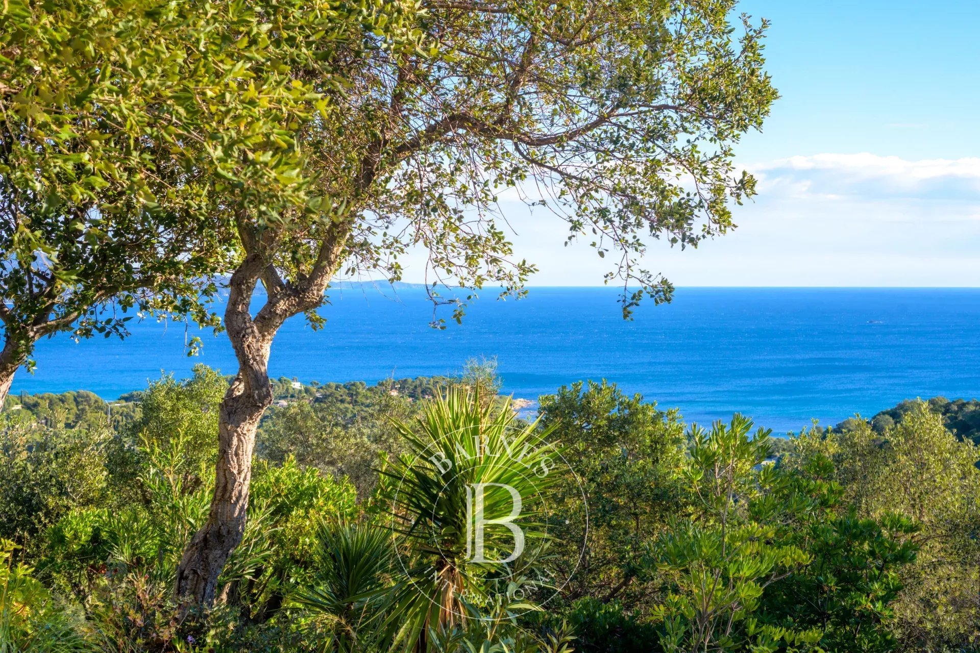 Ev Bormes-les-Mimosas - picture 23