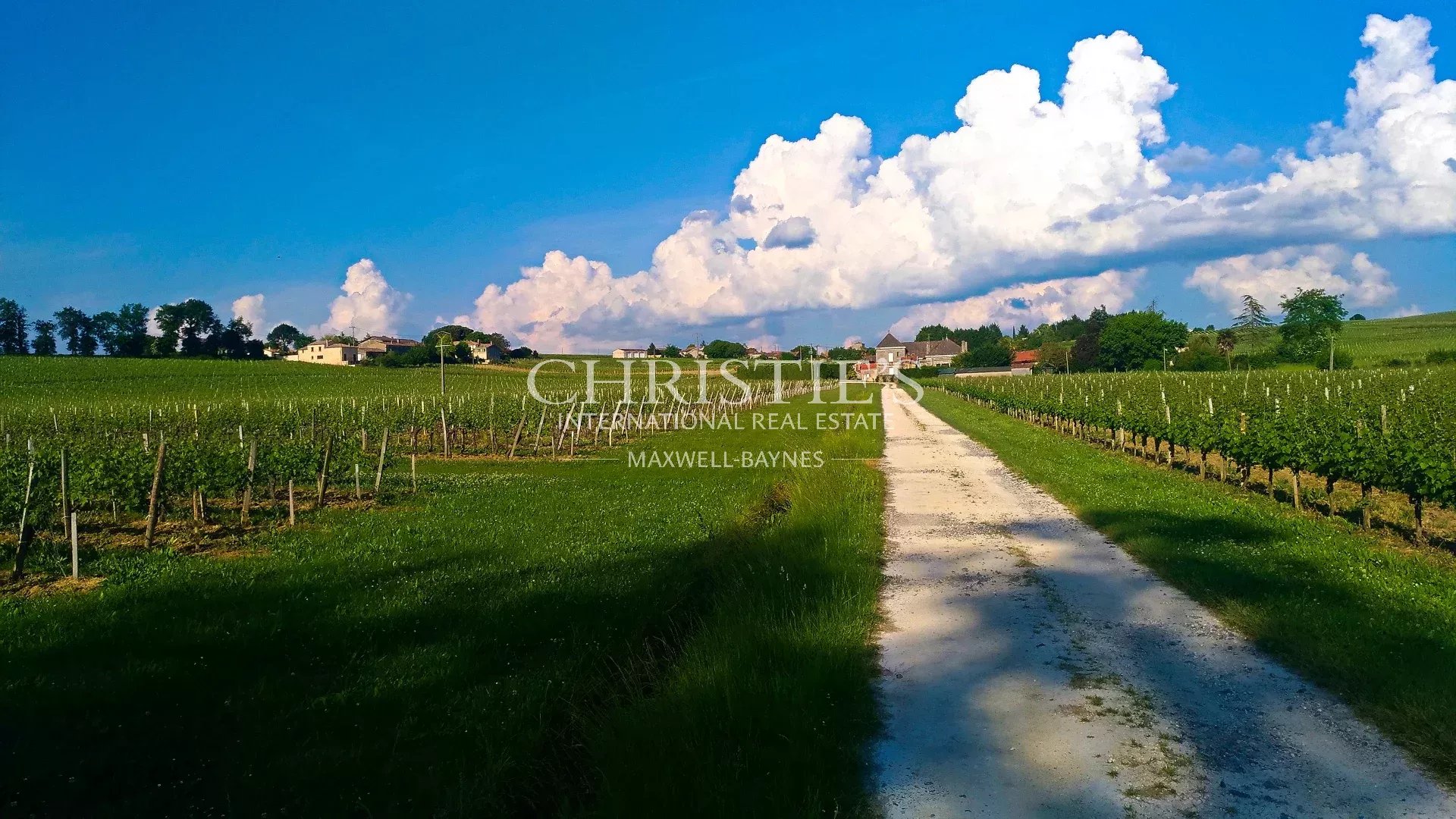 12 Bedroom Vineyard's Image 15