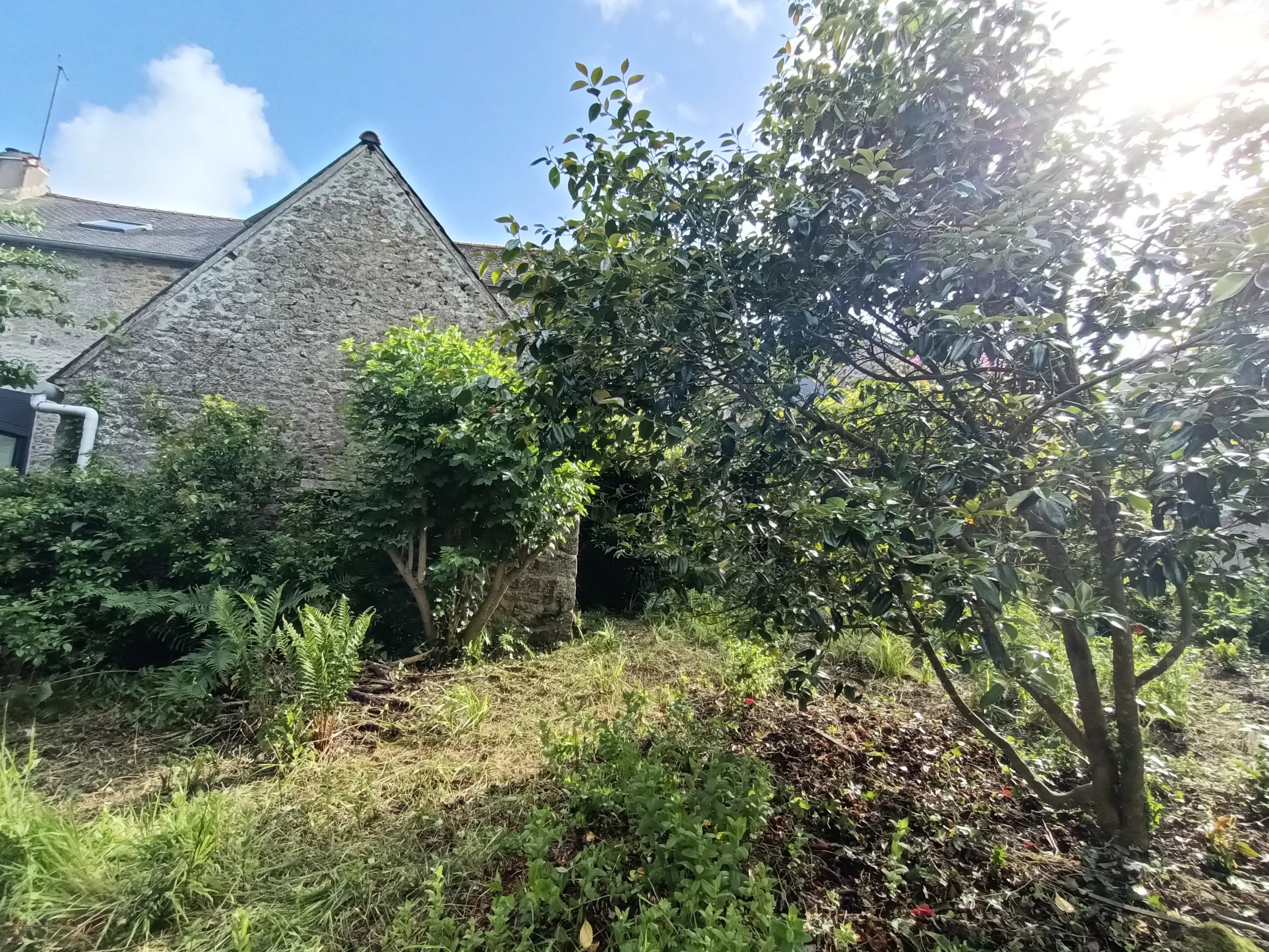 CAMPAGNE PLEURTUIT