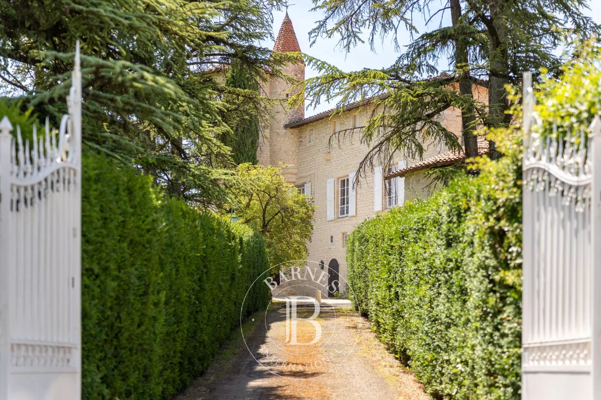 Albi  - Château 13 Pi&egrave;ces 7 Chambres - picture 17