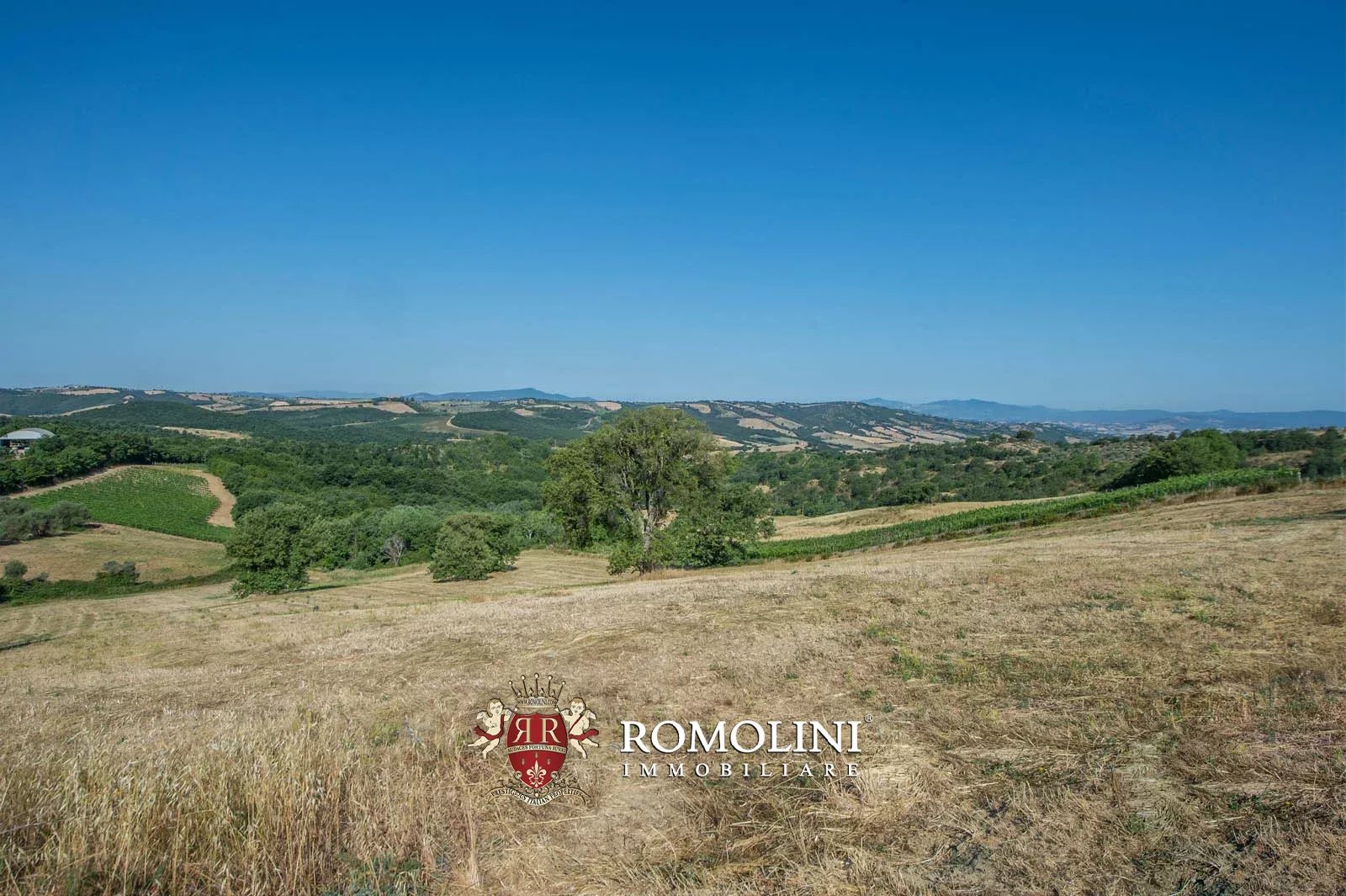 3 Bedroom Vineyard's Image 3
