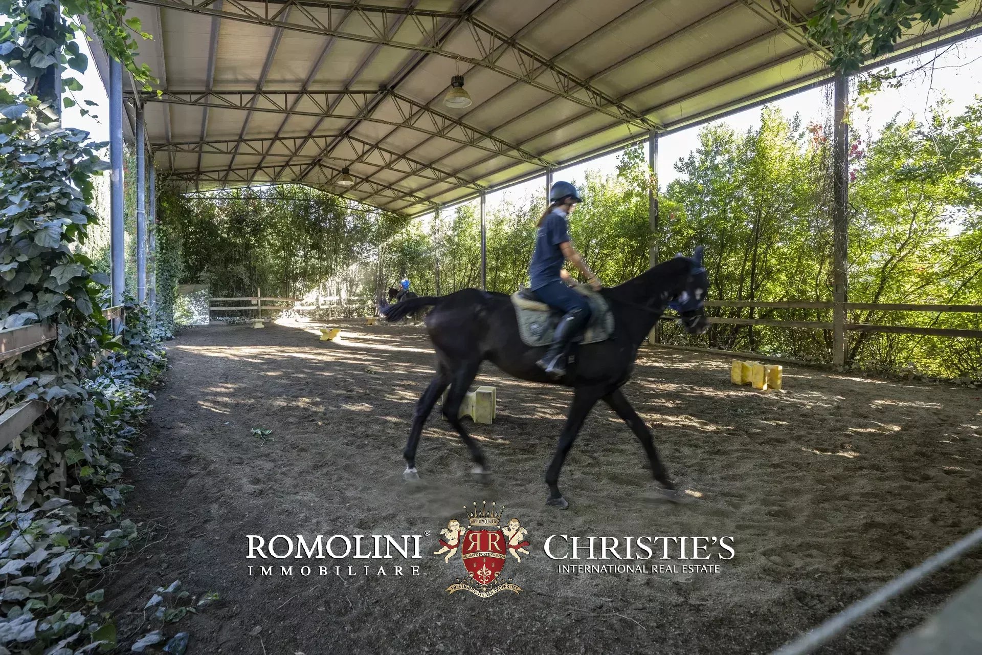 9 Bedroom Horse Property's Image 24