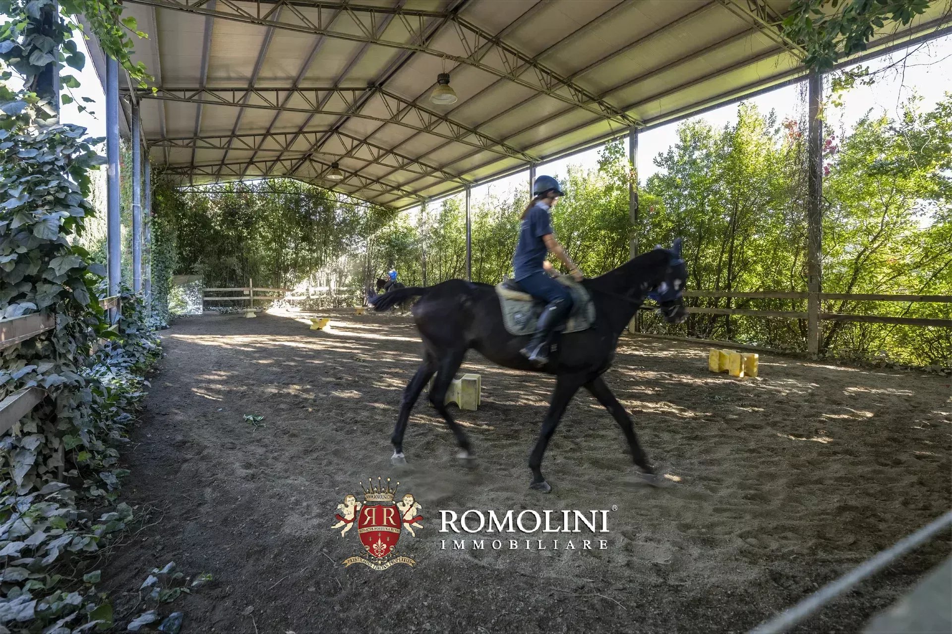 9 Bedroom Horse Property's Image 24