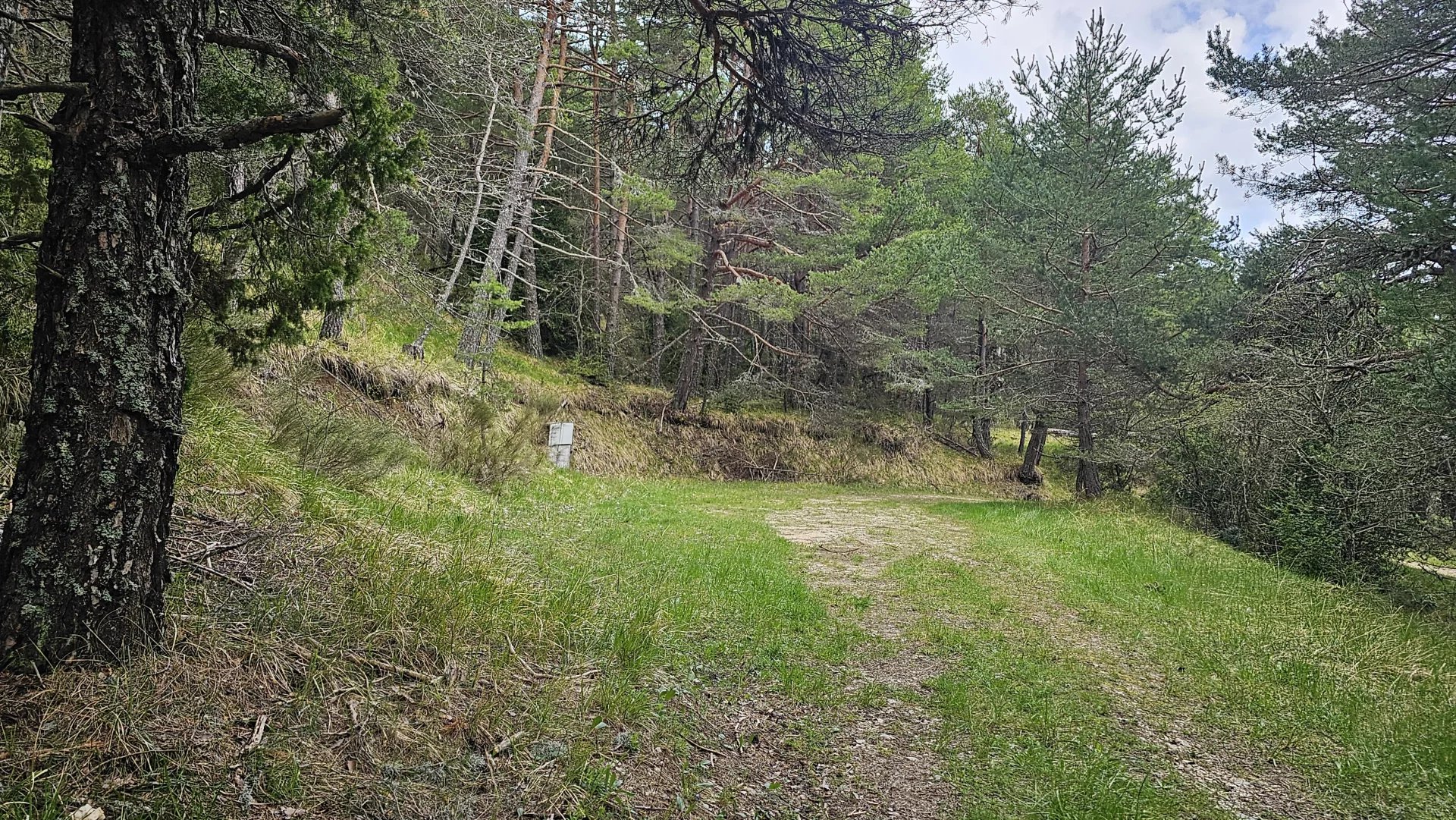 Terrain constructible de plus d'1 hectare vue dégagée