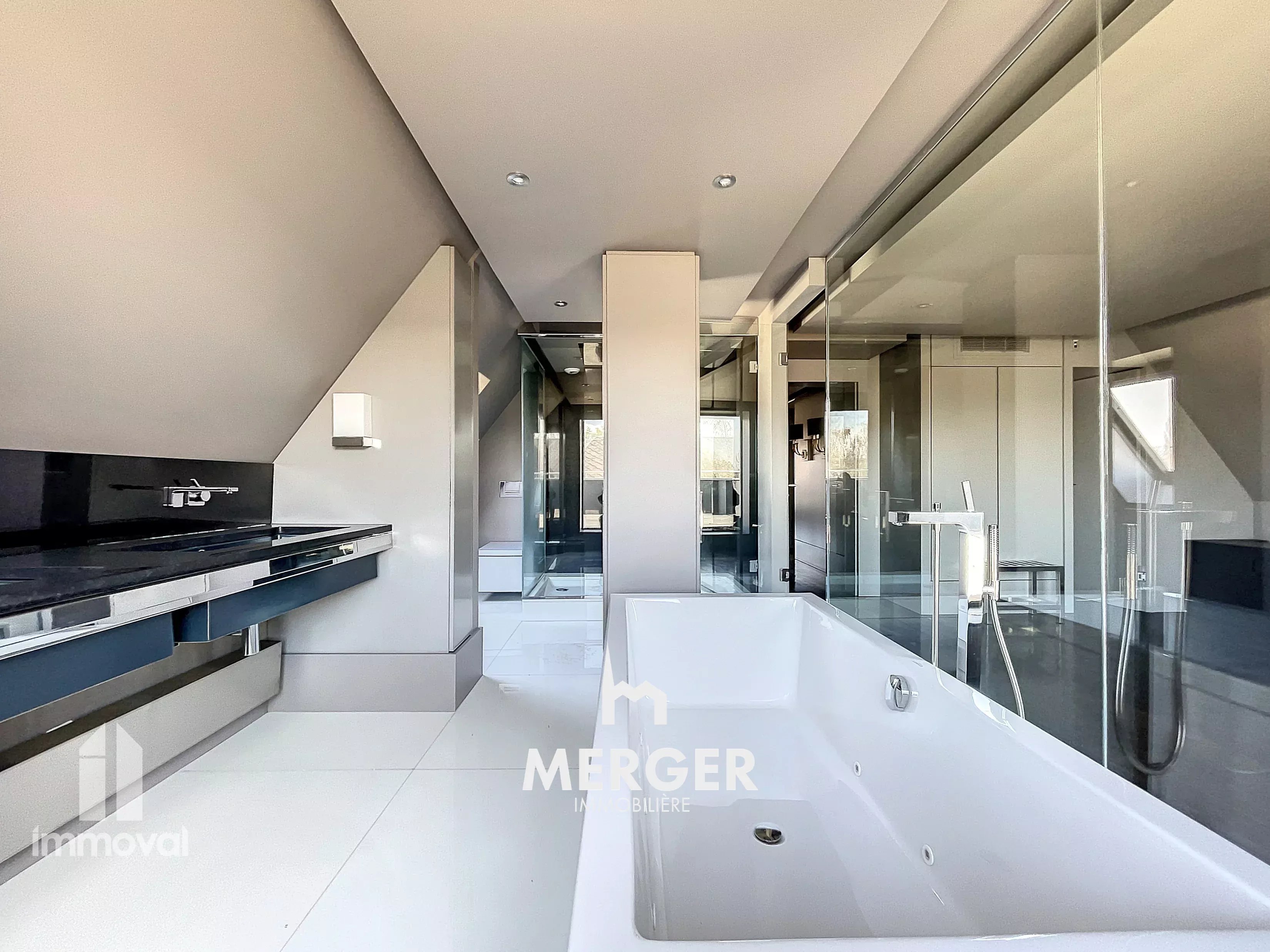 Vente Duplex Strasbourg