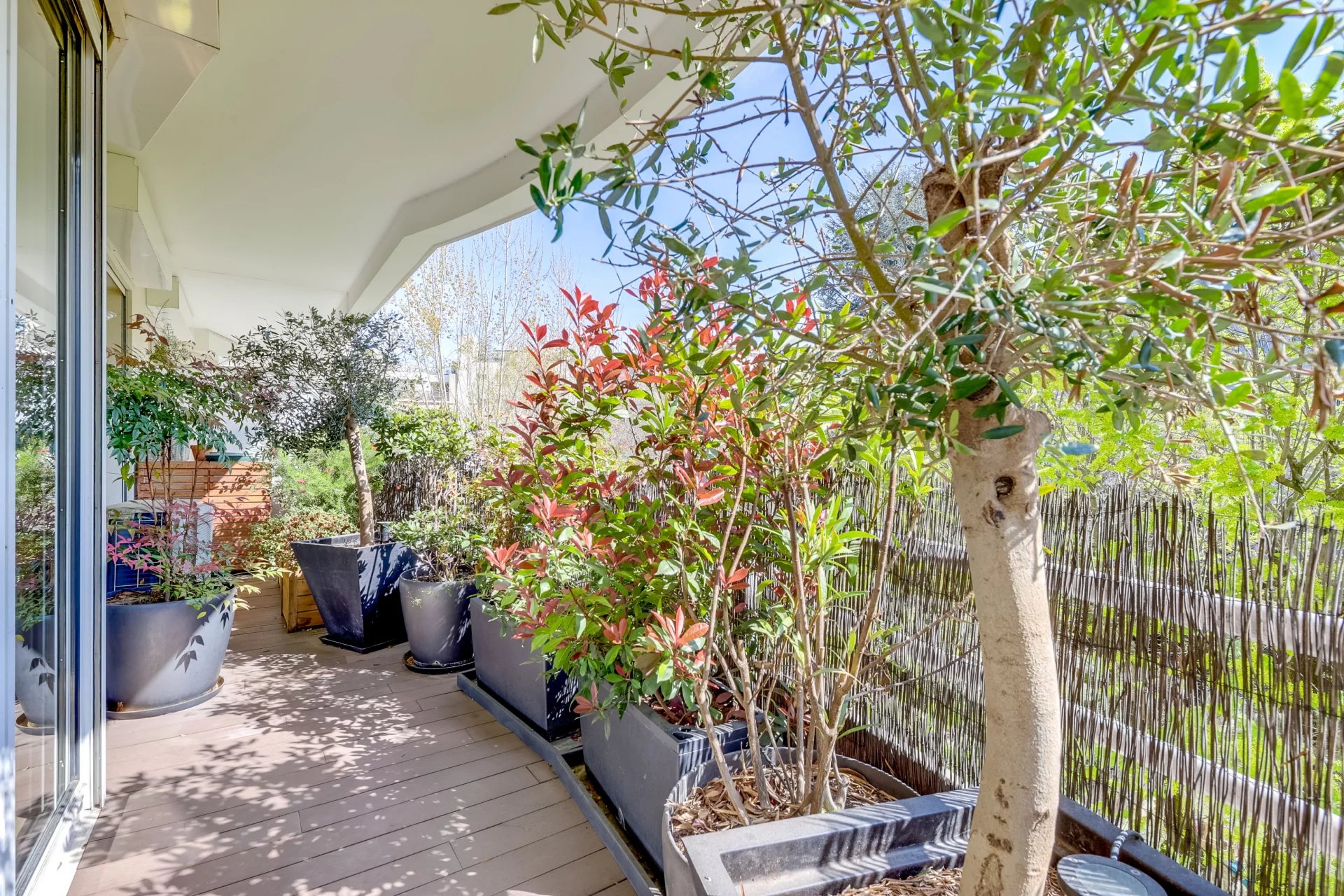 Photo 1 du bien N°86640876