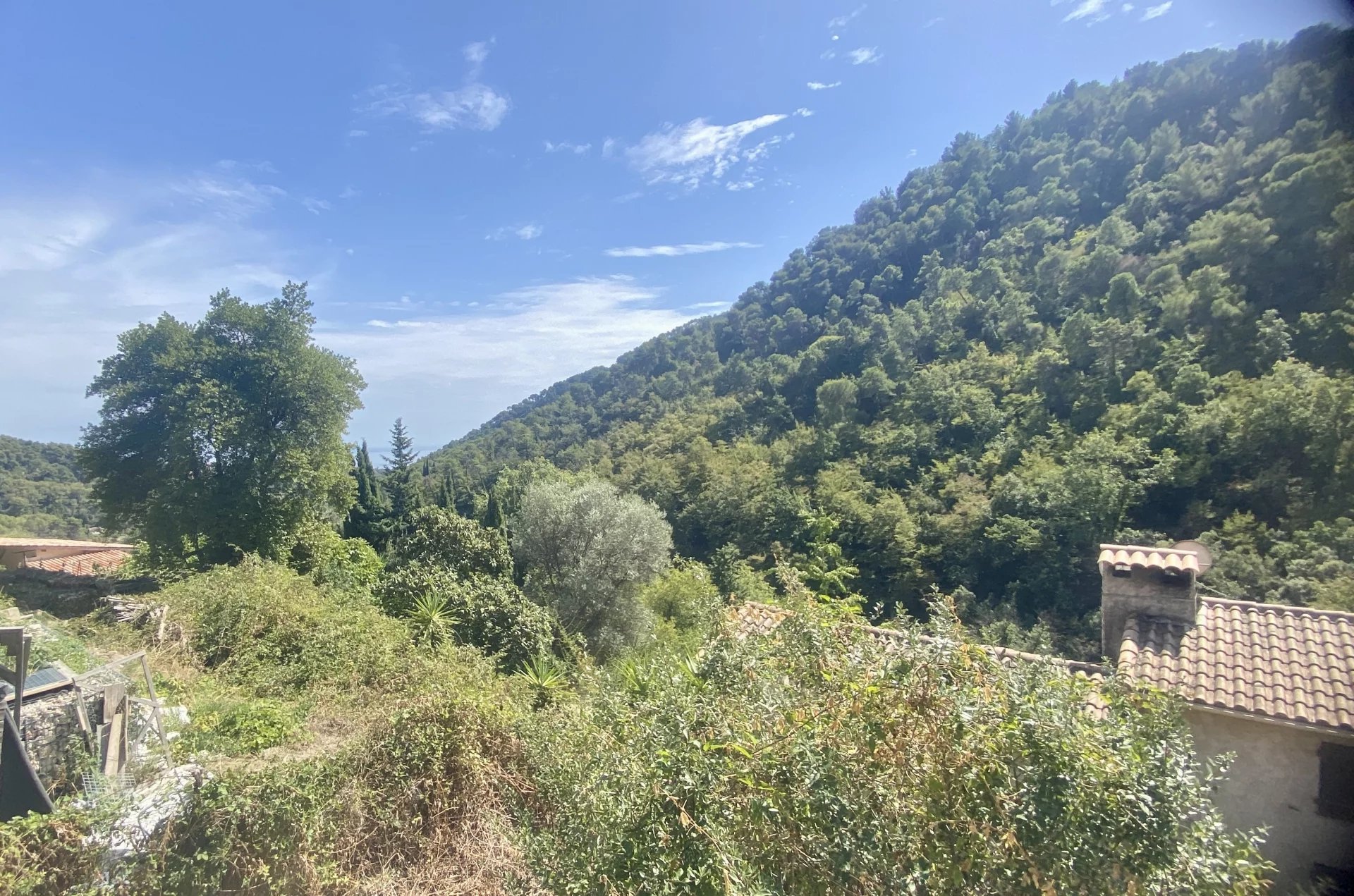 VENTE TERRAIN CONSTRUCTIBLE À GORBIO