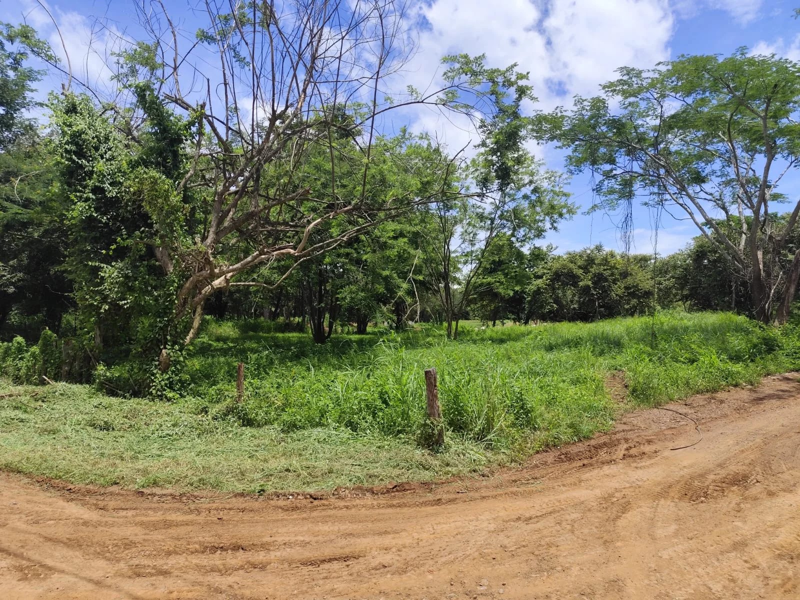 Vente Terrain Playa Flamingo