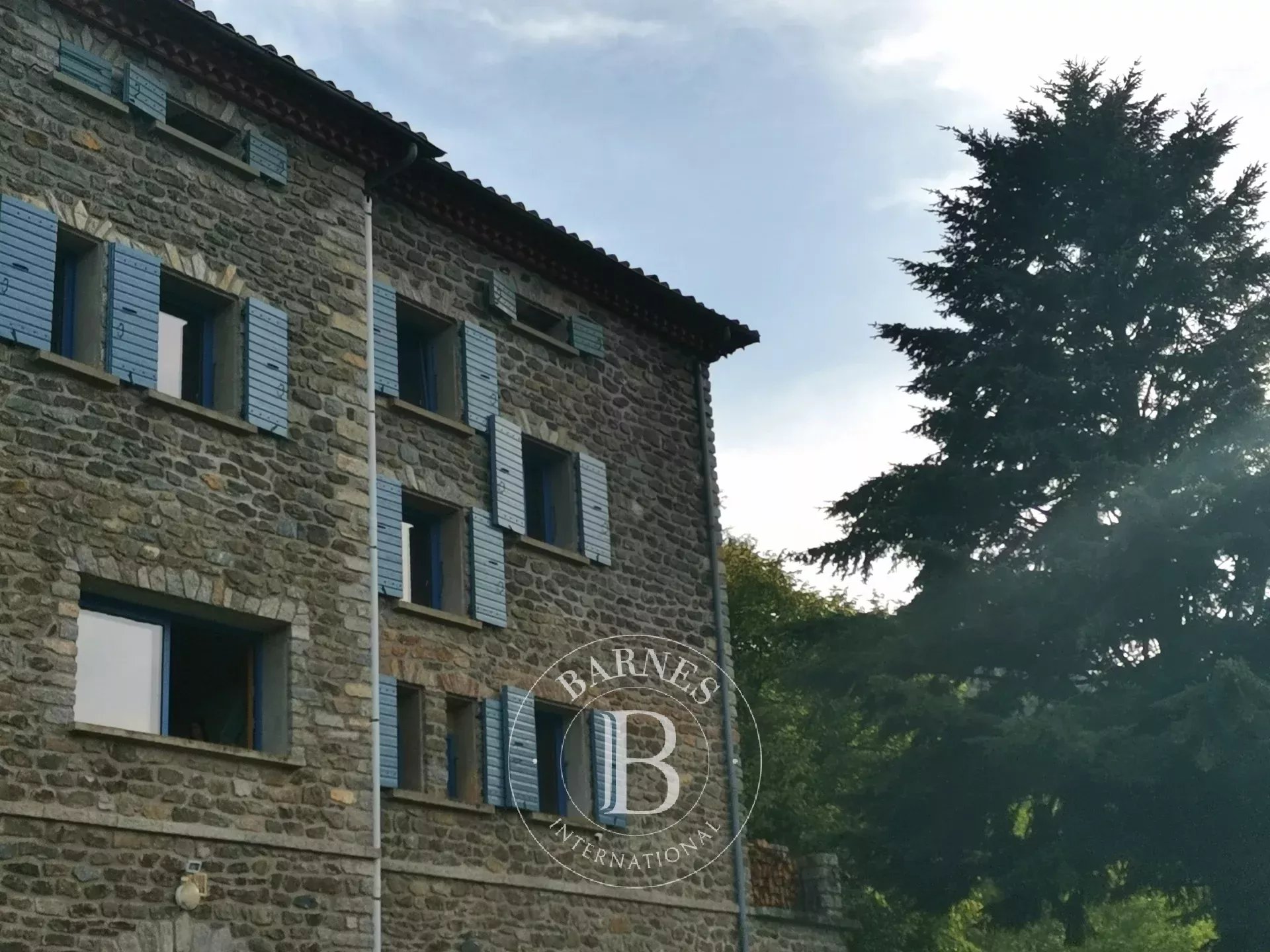 Mülkiyet Prats-de-Mollo-la-Preste - picture 10