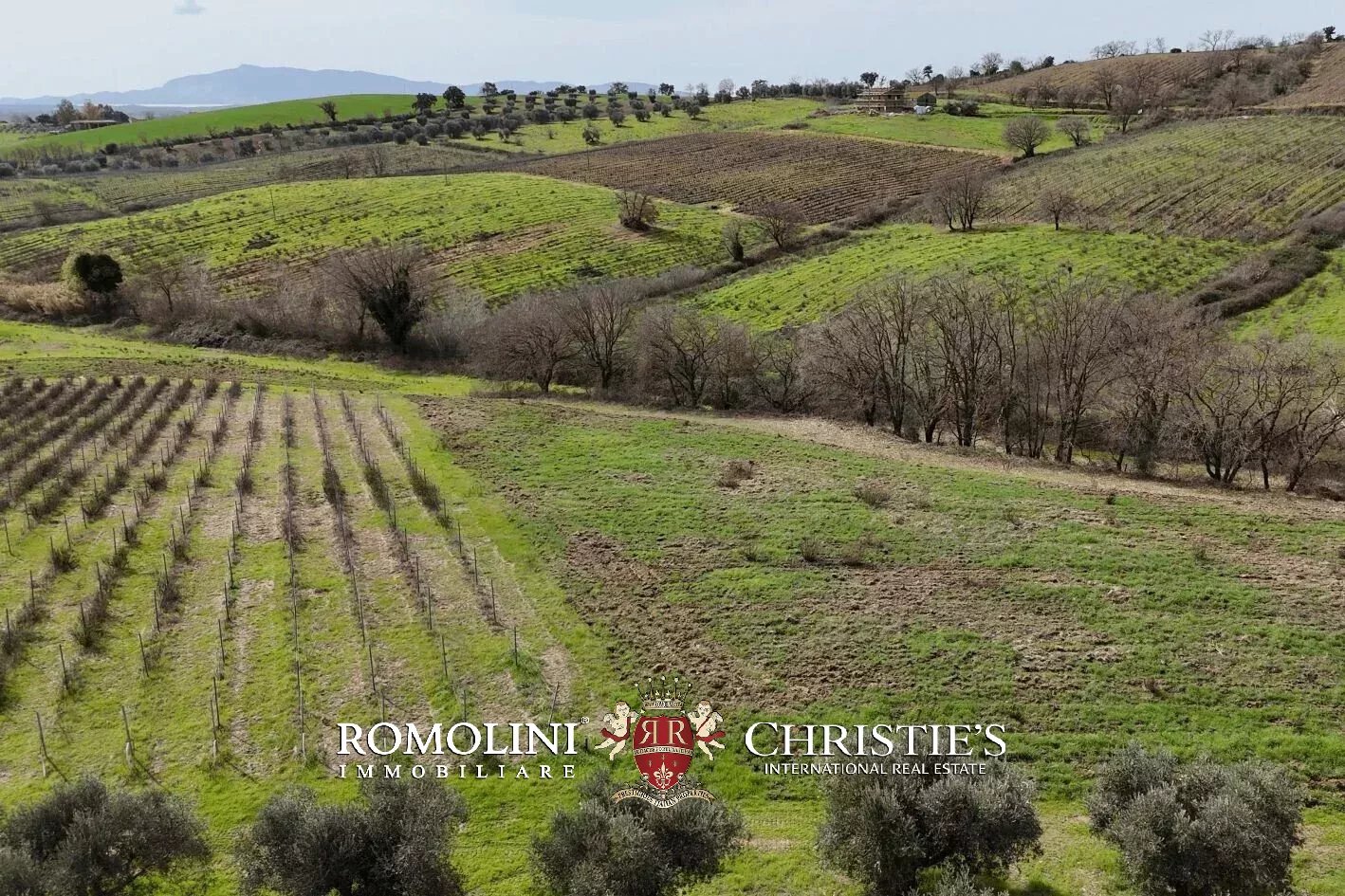 3 Bedroom Vineyard's Image 28