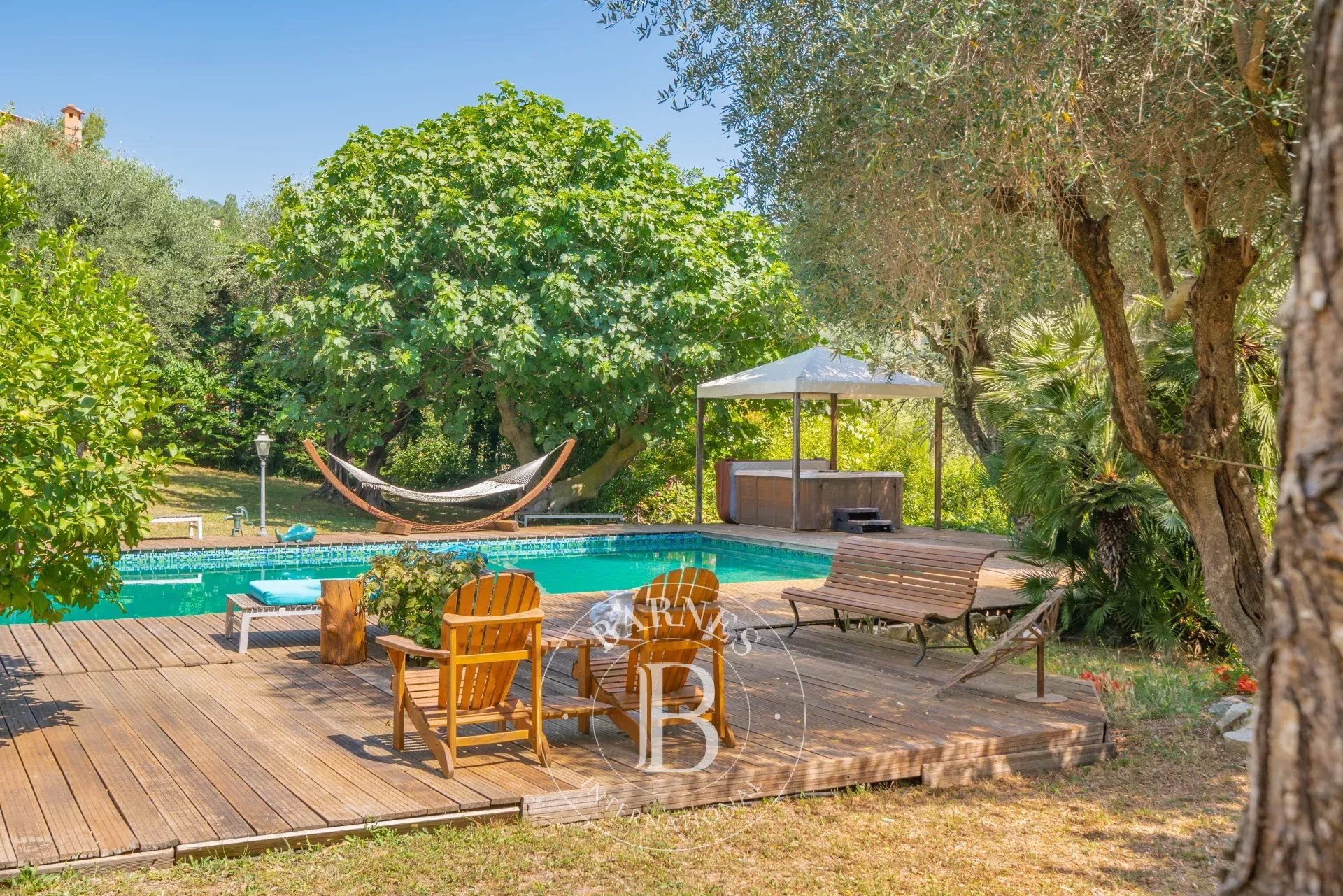 Ev Opio - picture 13