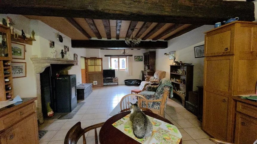 À vendre 3 maisons 2 granges-jardin- Lussac-les-Églises-87 - Photo 4