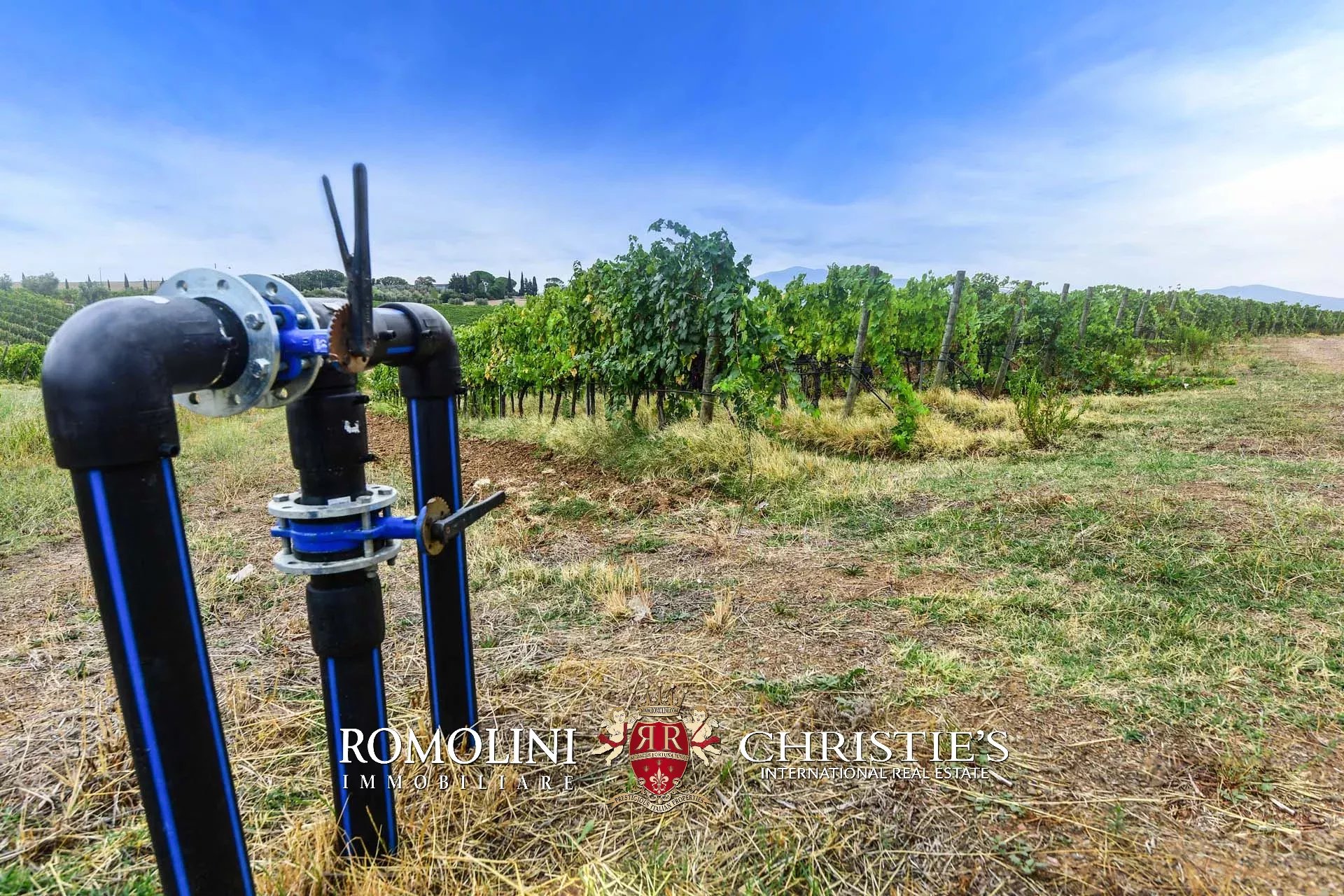 5 Bedroom Vineyard's Image 7
