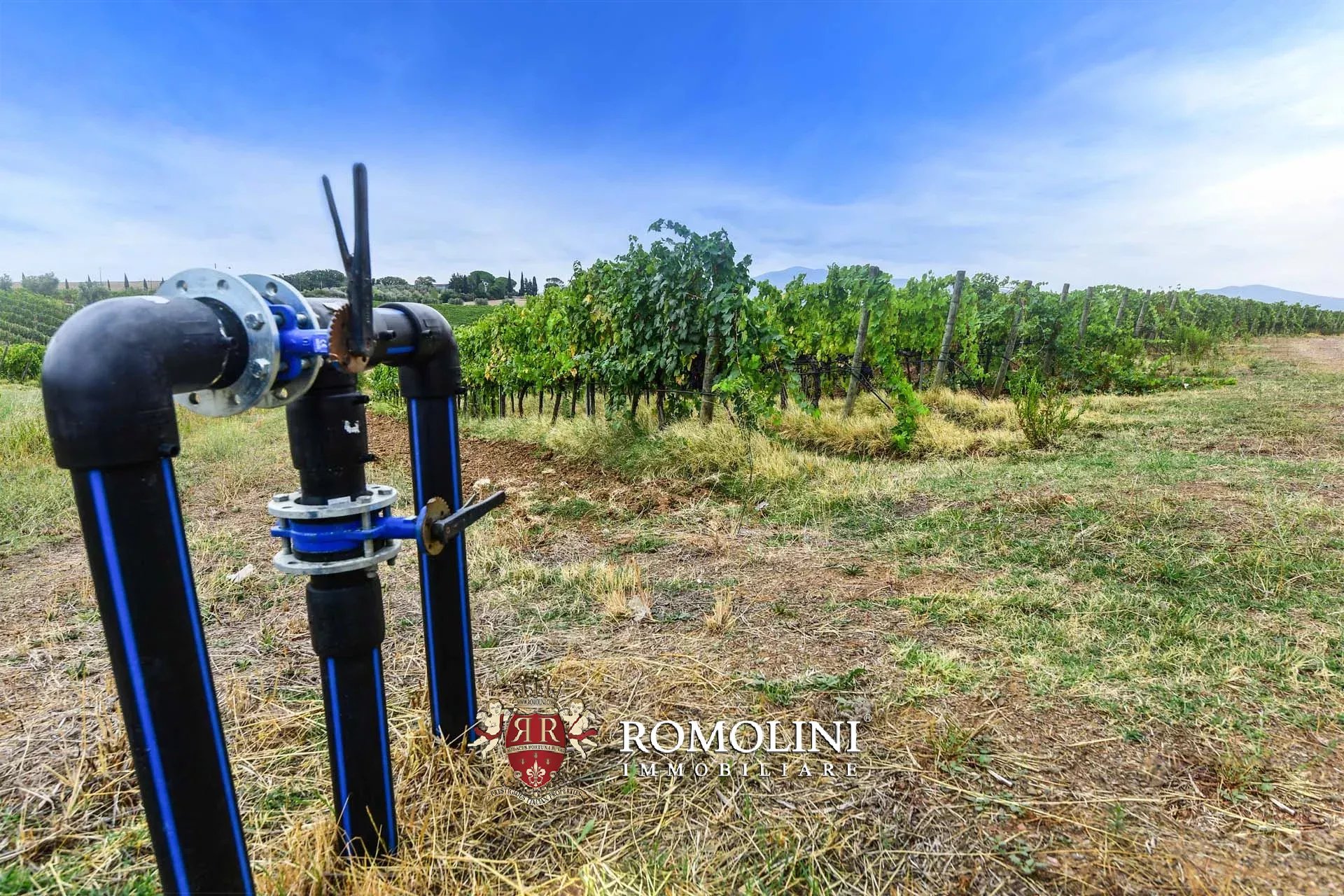 5 Bedroom Vineyard's Image 7