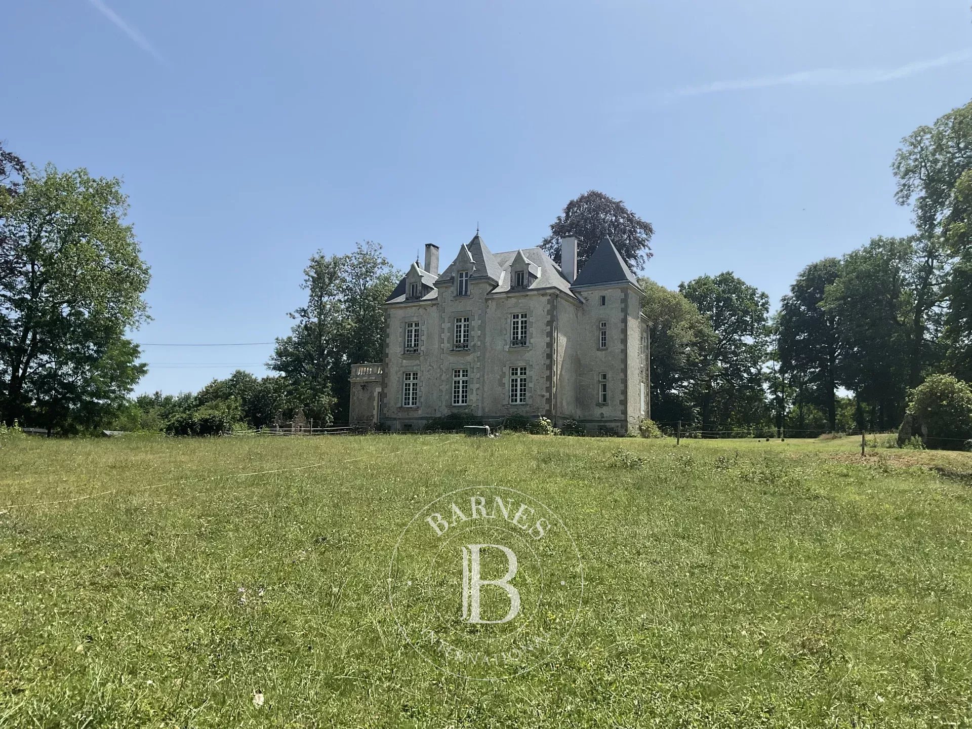 Manoir Pouzauges  -  ref 86854677 (picture 2)