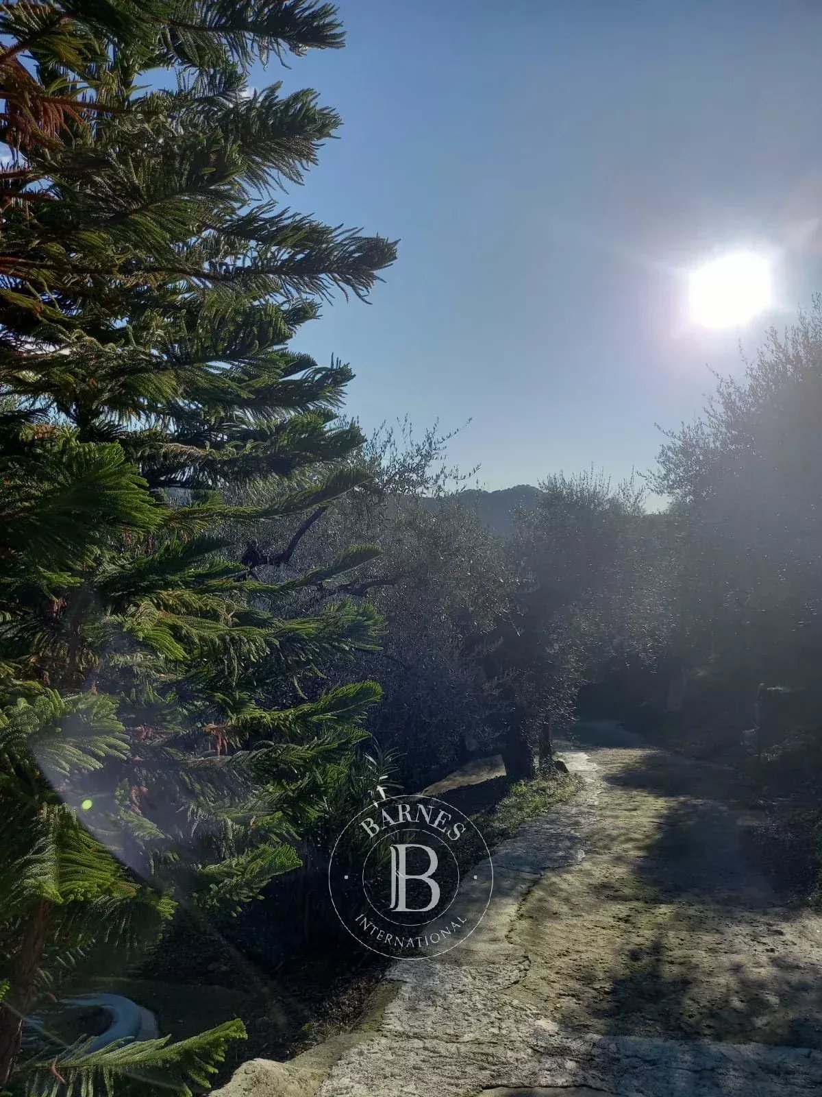 Villa Dolceacqua - picture 6