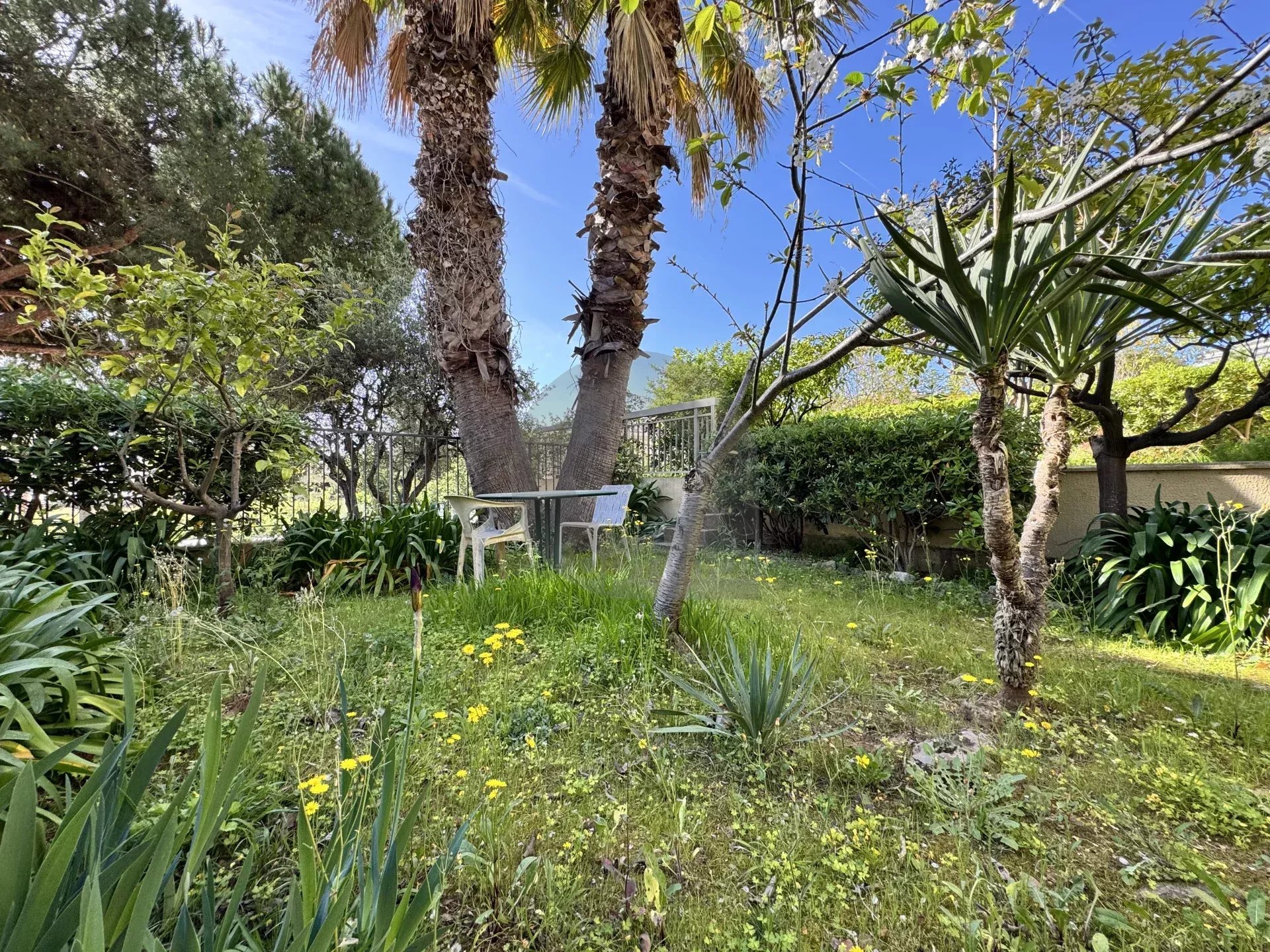 Vente Appartement Roquebrune-Cap-Martin Carnolès