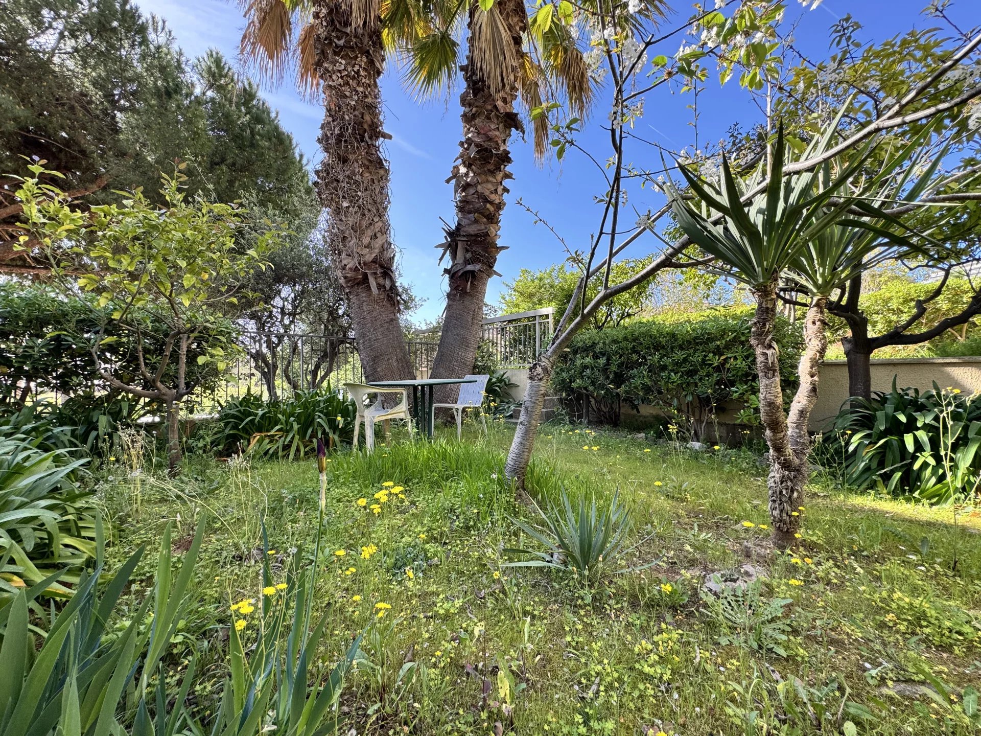 Vendita Appartamento Roquebrune-Cap-Martin Carnolès