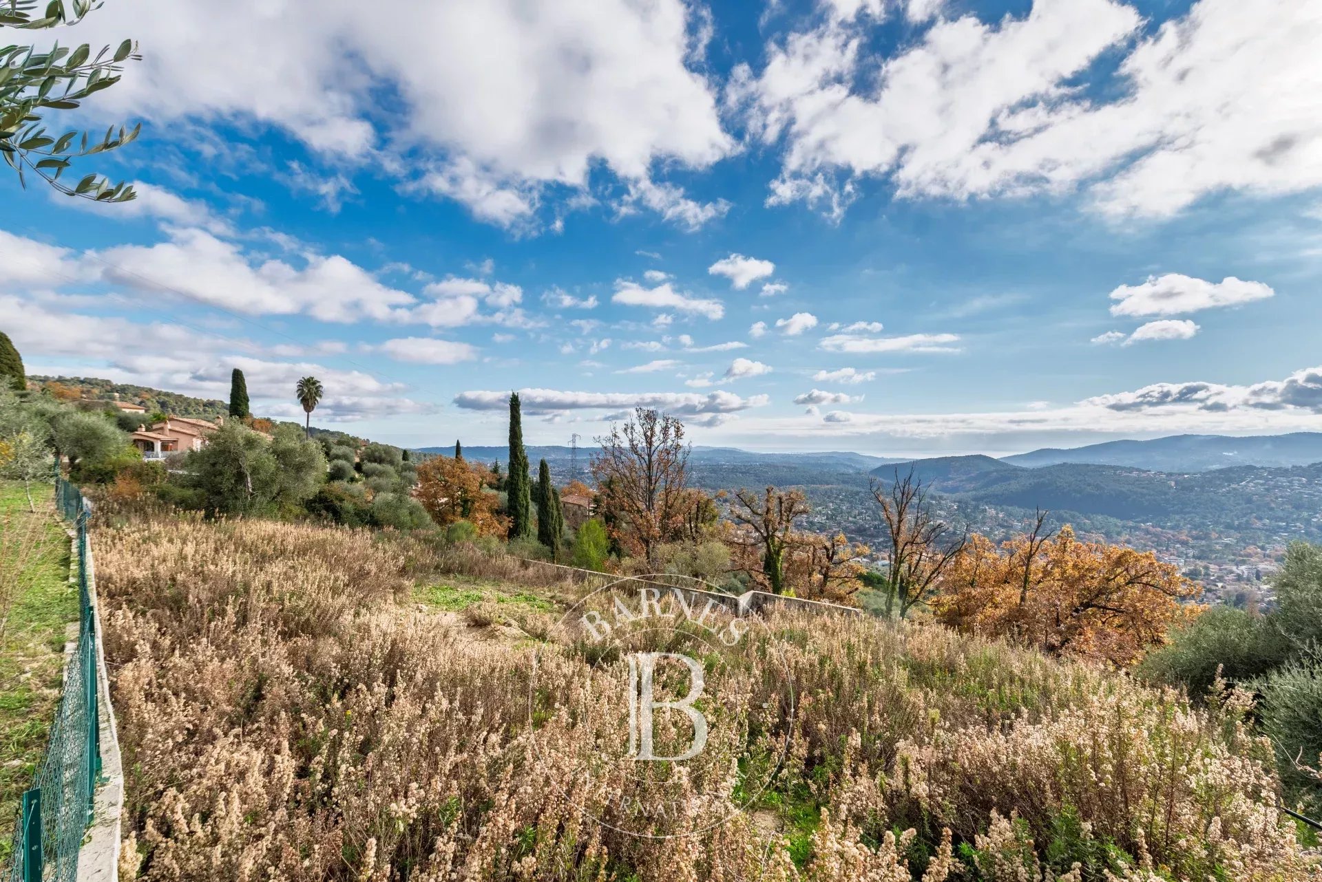 Arazi Cabris - picture 5