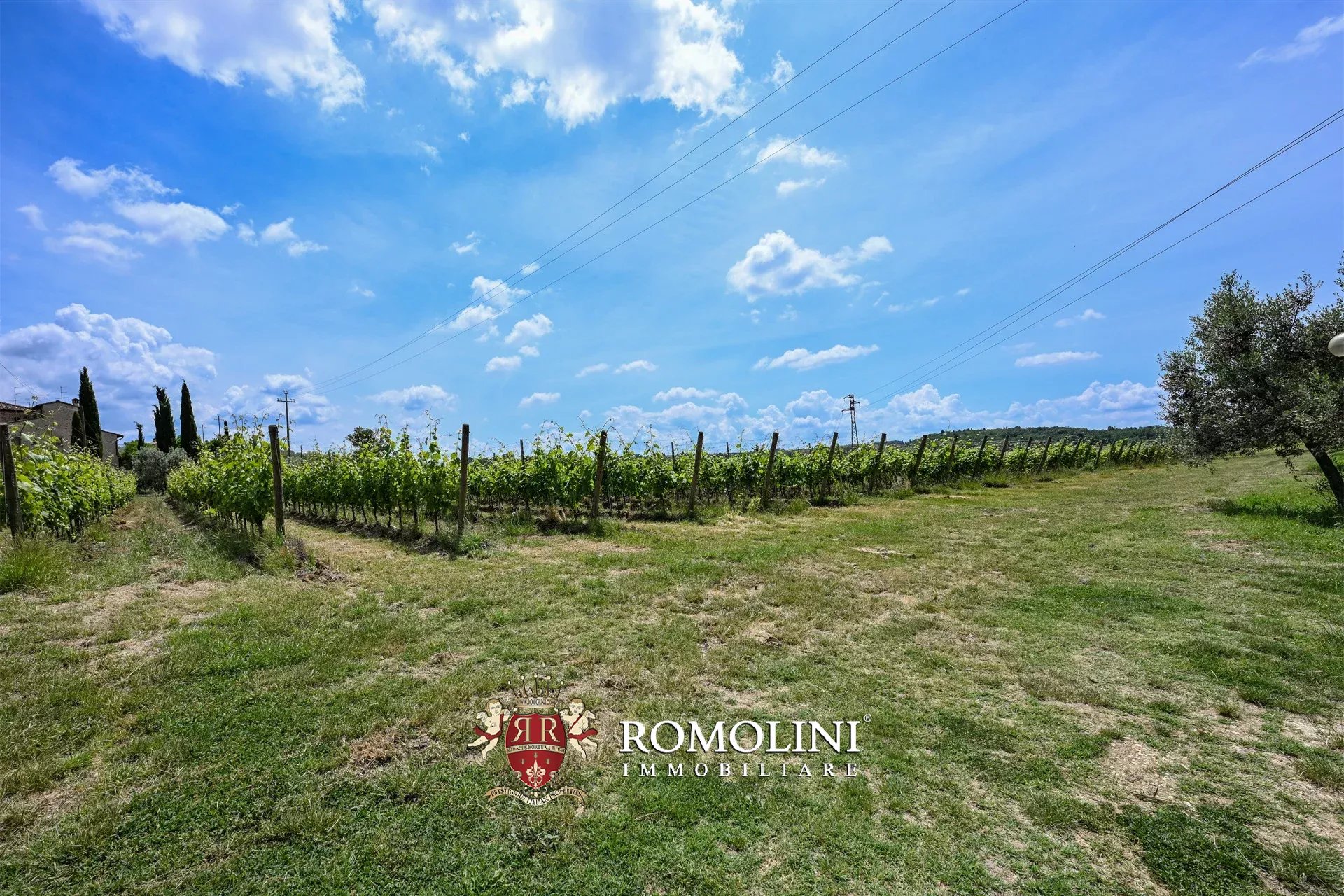7 Bedroom Vineyard's Image 5