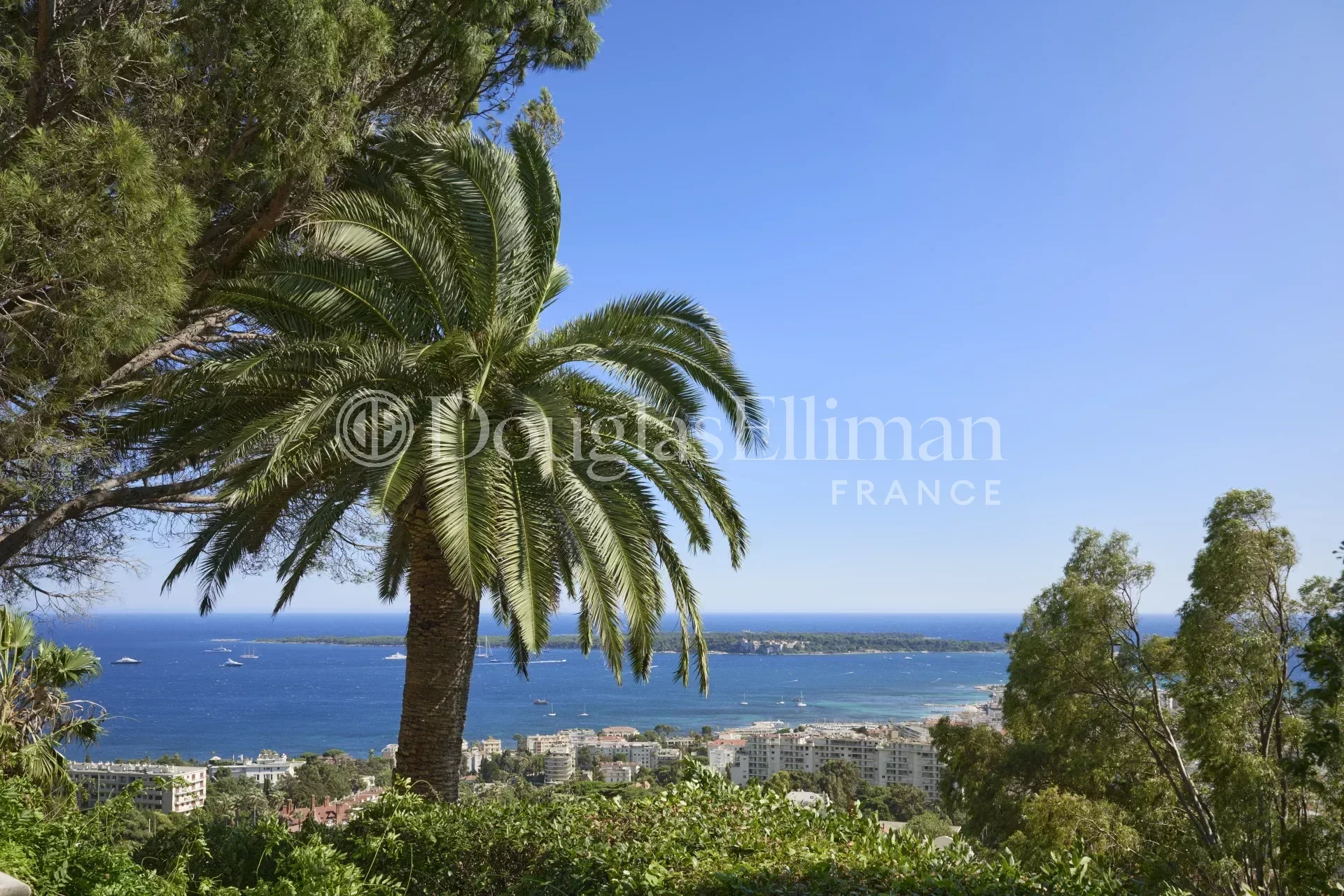 CANNES – Château Louis XIII, Chef-d’Œuvre de la Riviera - Image nᵒ3