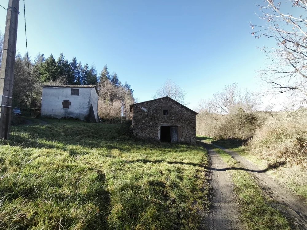 Agence immobilière de CAUMES DAVID
