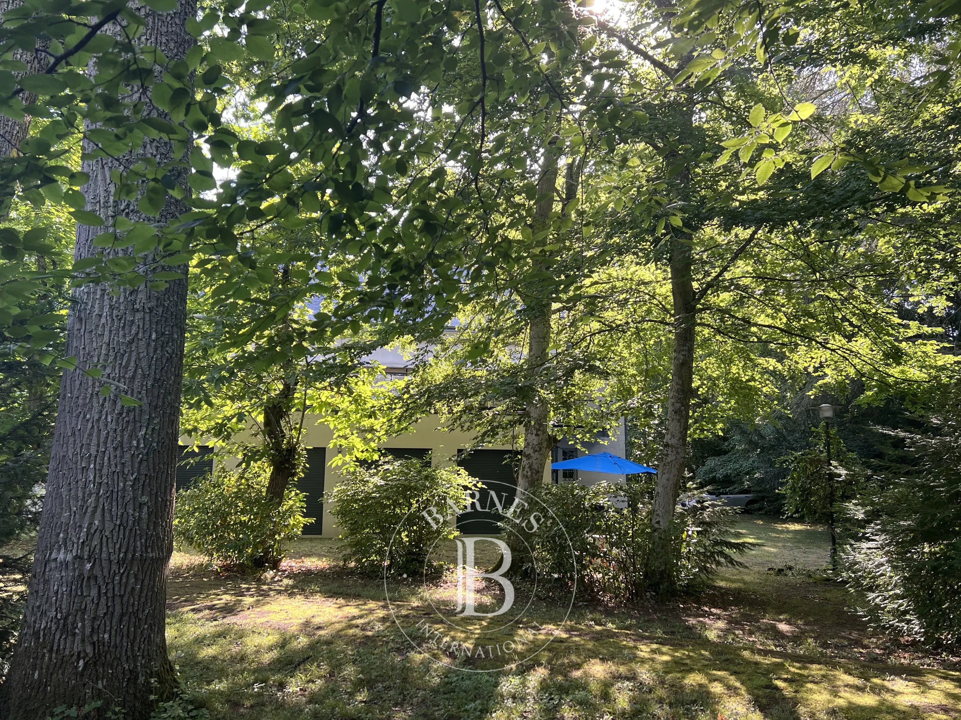 Villa Vouvray  -  ref 86659804 (picture 3)