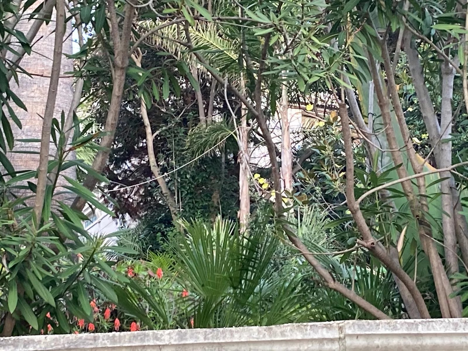 Vendita Villa - Ospedaletti Circuito - Italia