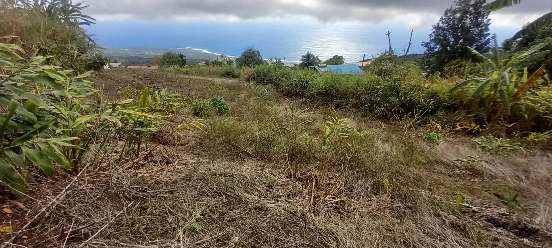 À vendre : Terrain  La Chaloupe Saint-Leu – Vue panoramique sur la côte de Saint-Leu