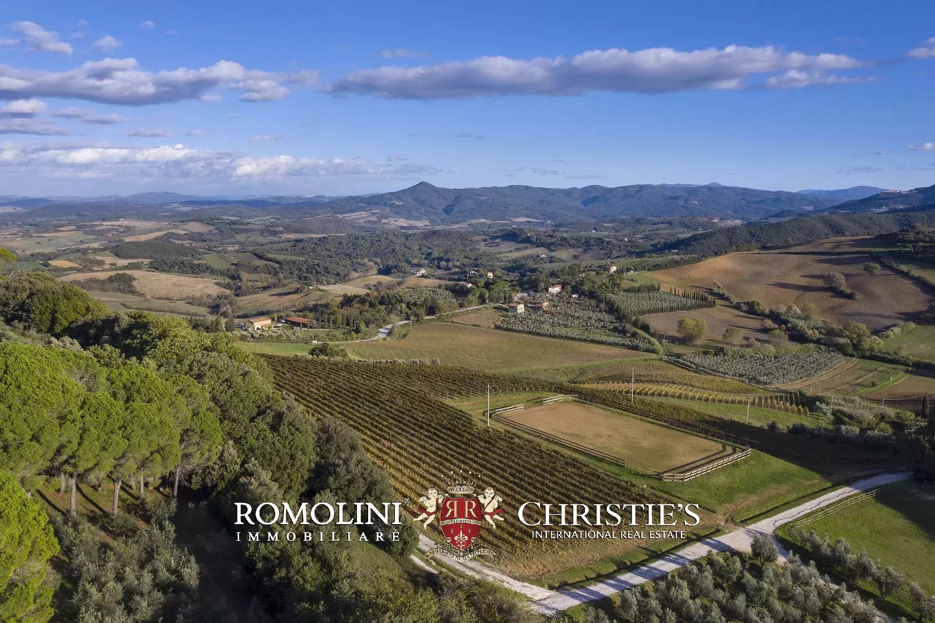 EQUESTRIAN SEA VIEW WINE ESTATE WITH VINEYARDS FOR SALE CLOSE TO BOLGHERI, TUSCANY