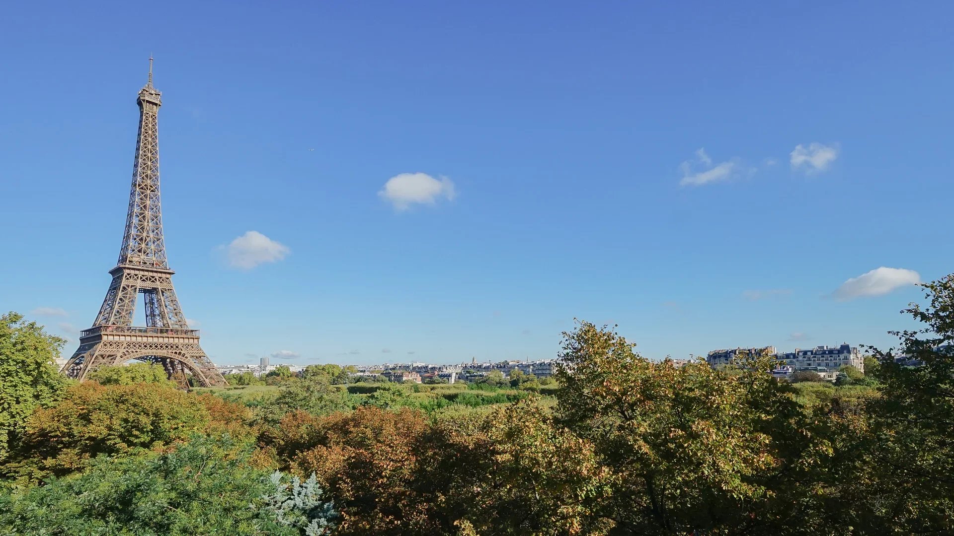 Paris 7e - CHAMP DE MARS