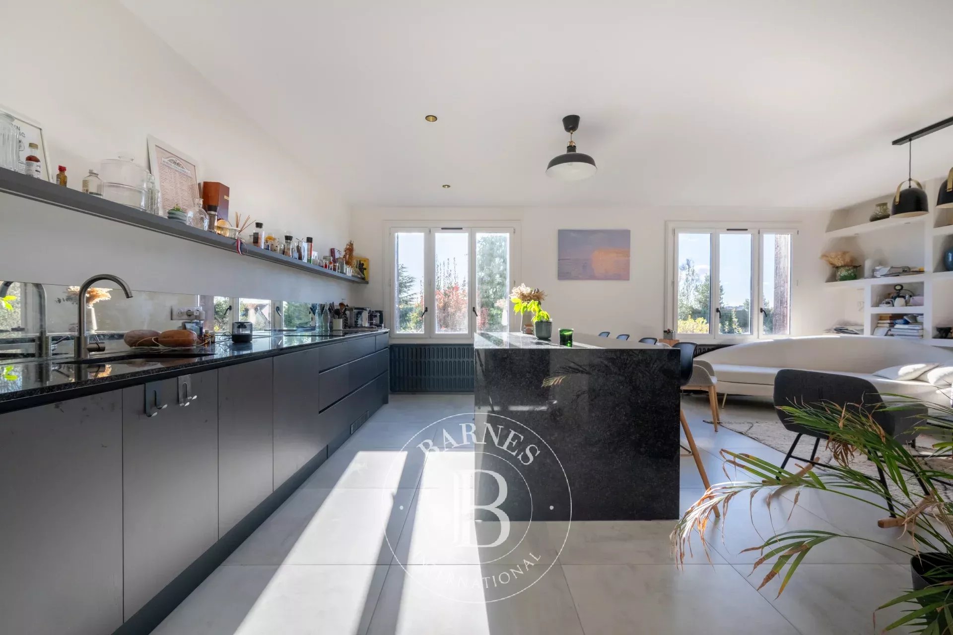 Ev Nogent-sur-Marne - picture 4