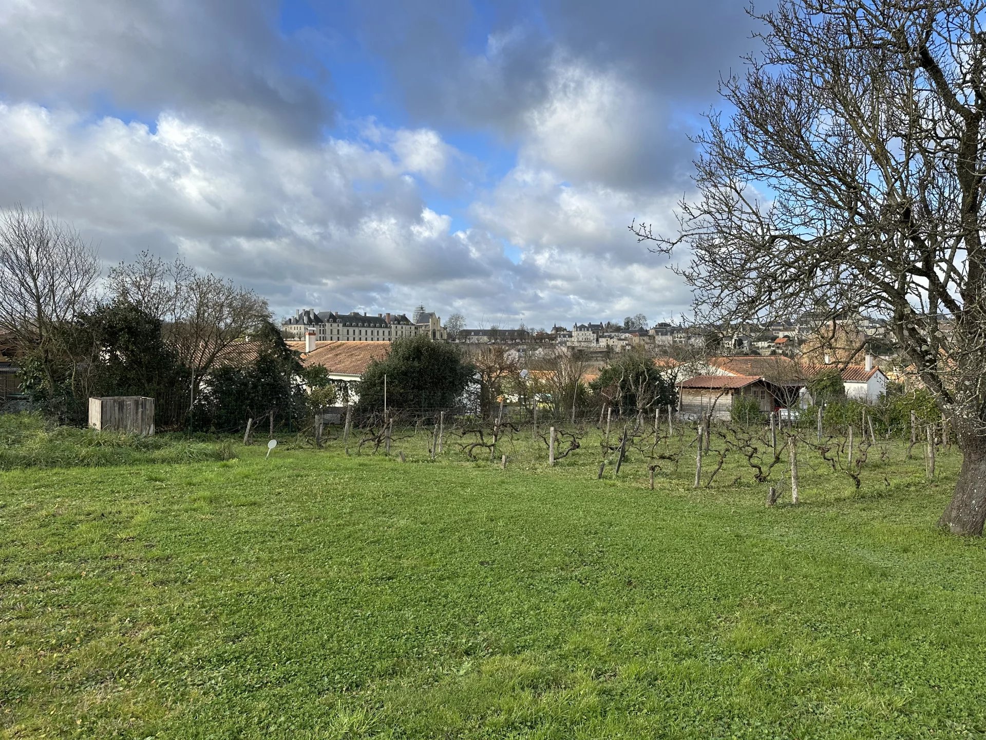 Vente Terrain Saint-Jean-de-Thouars