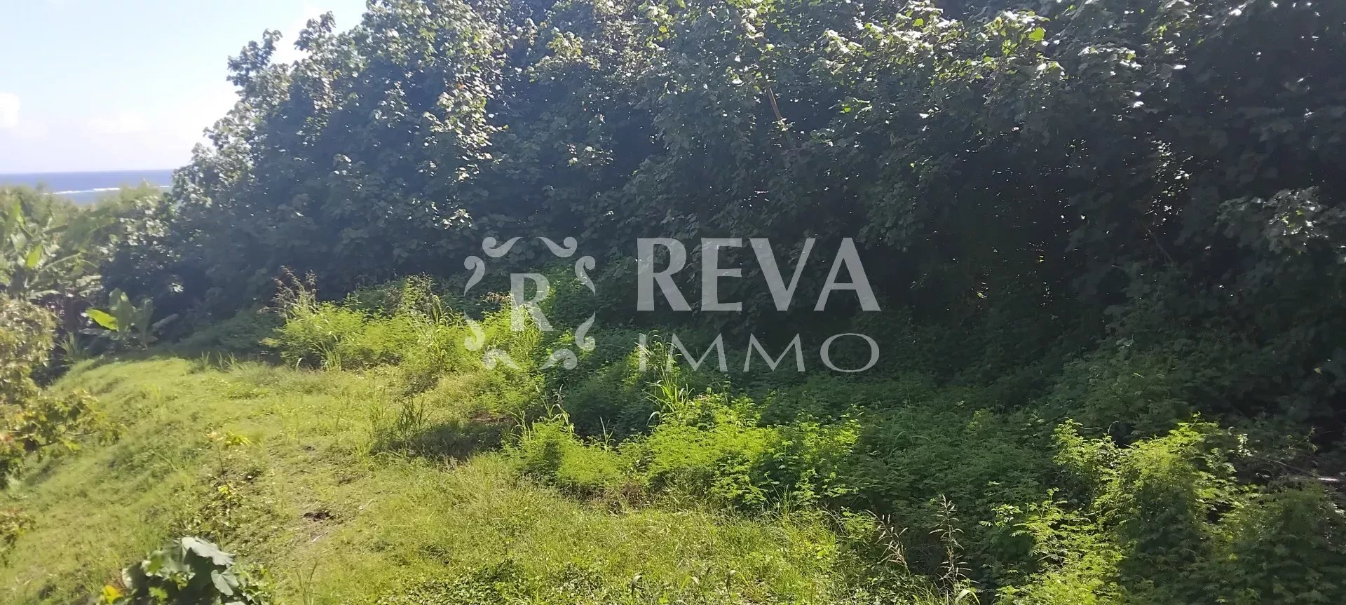 Vente Terrain Paopao