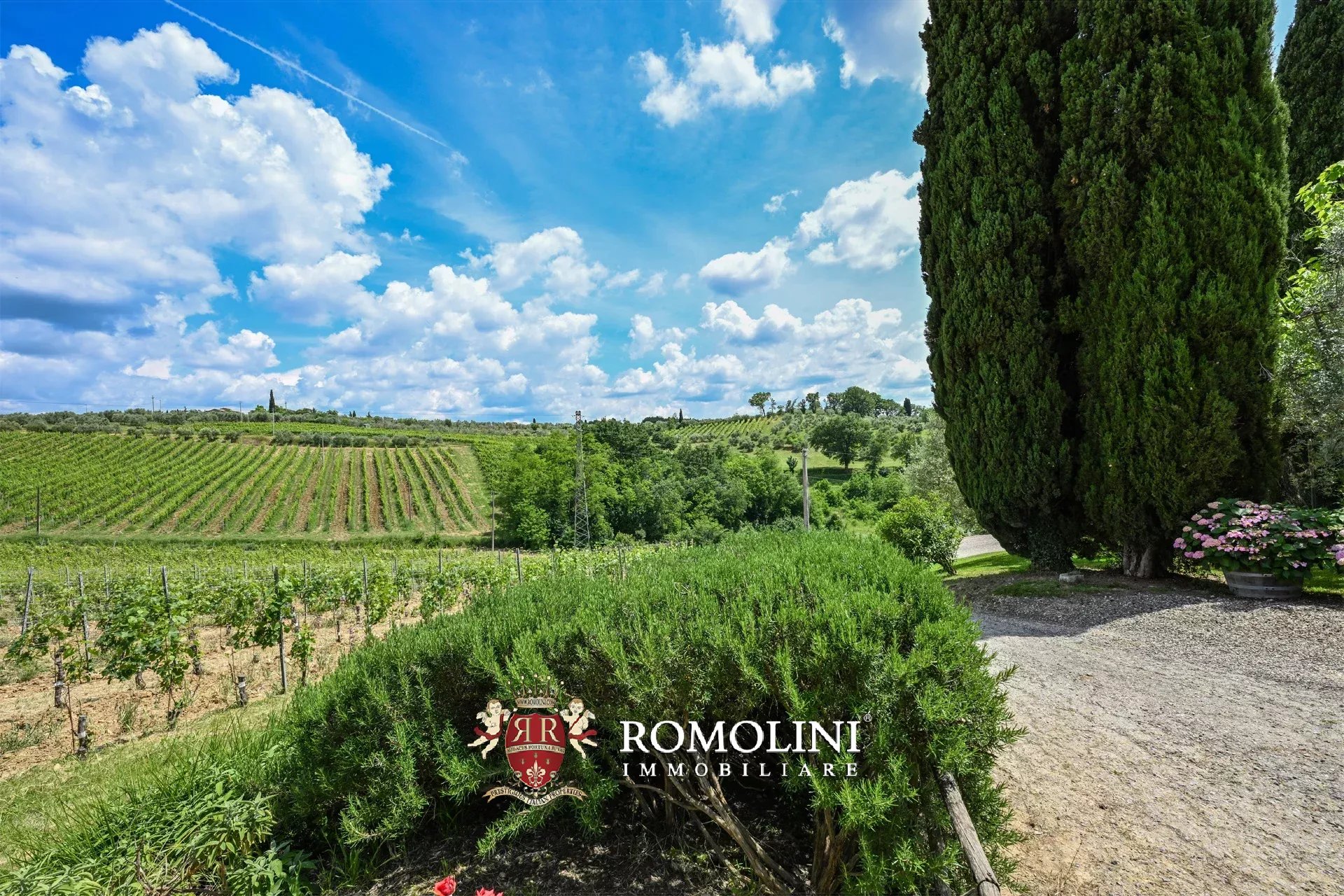 7 Bedroom Vineyard's Image 10