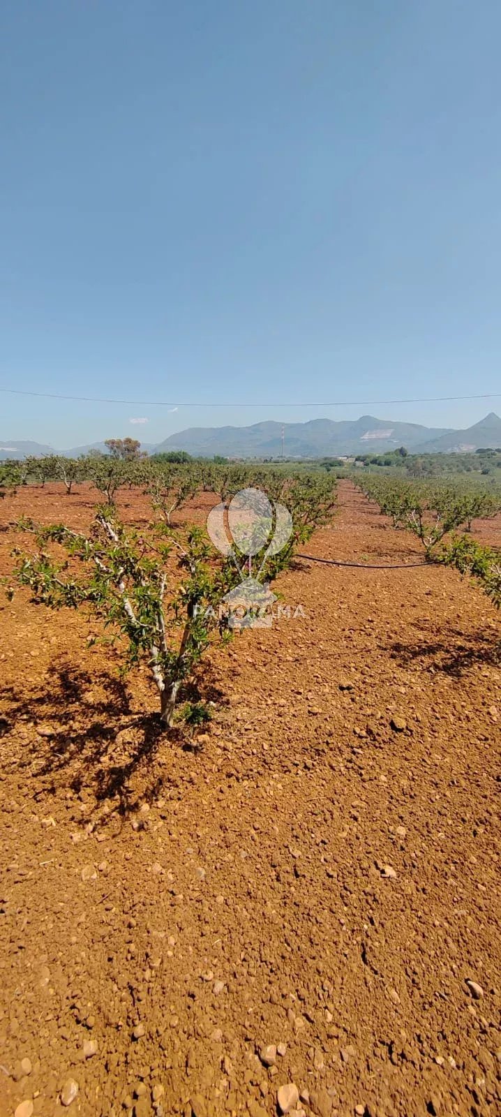Vendita Terreno agricolo Partinico