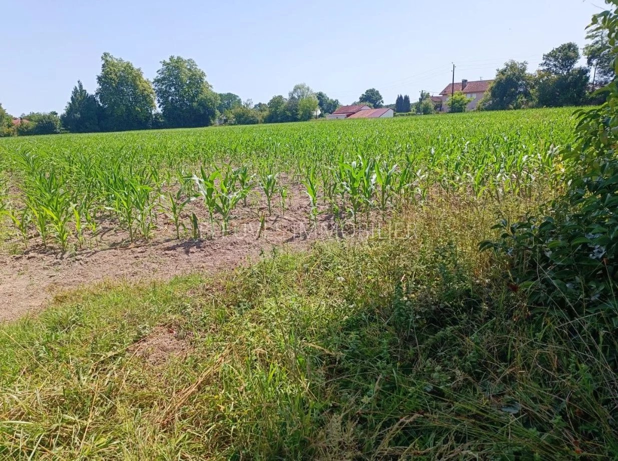 Vente Terrain Gurs