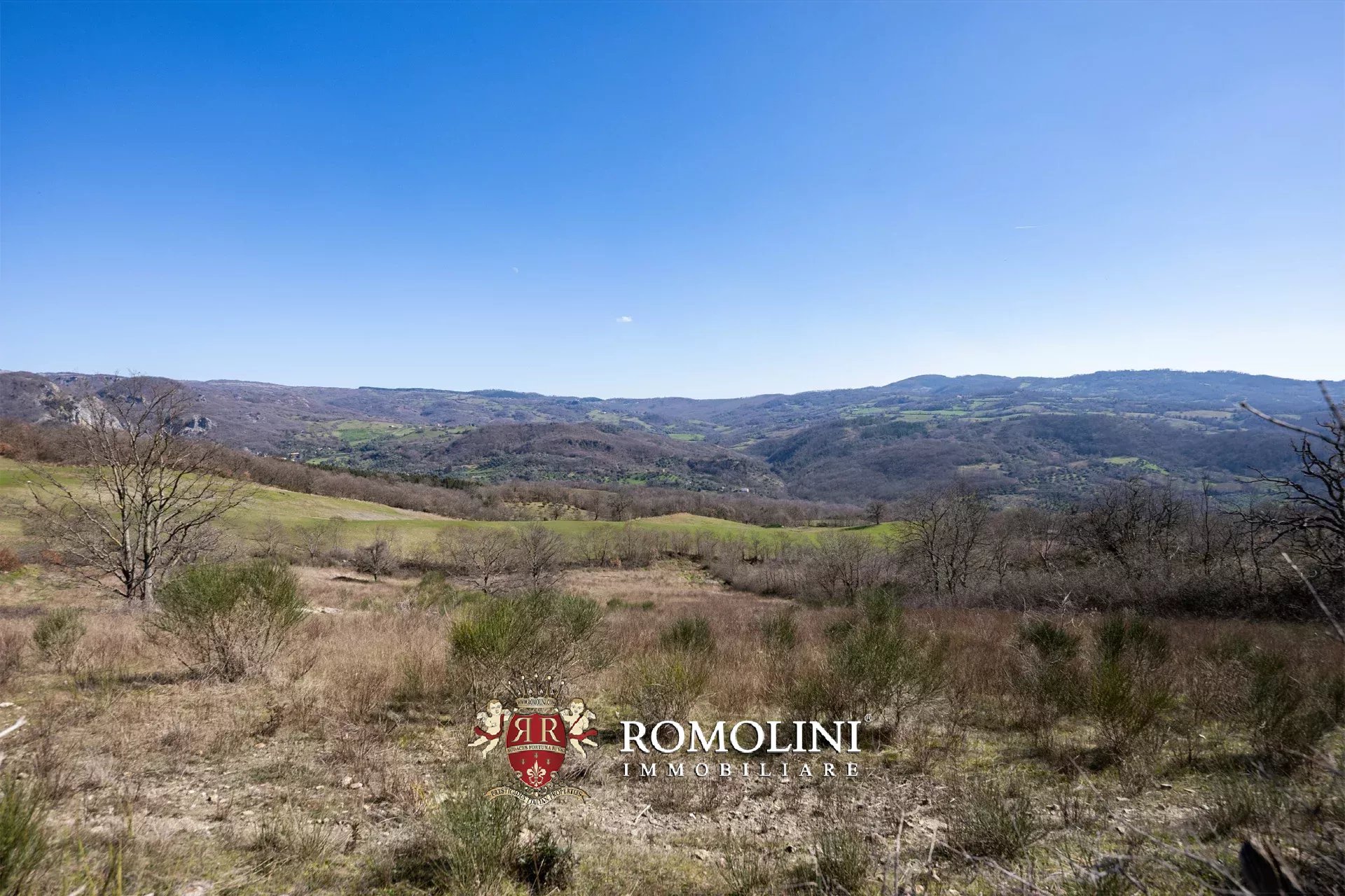 1 Bedroom Vineyard's Image 18