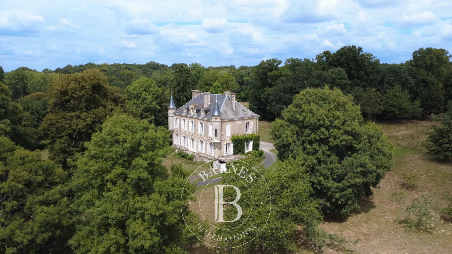 Château Niort  -  ref 86043994 (picture 3)