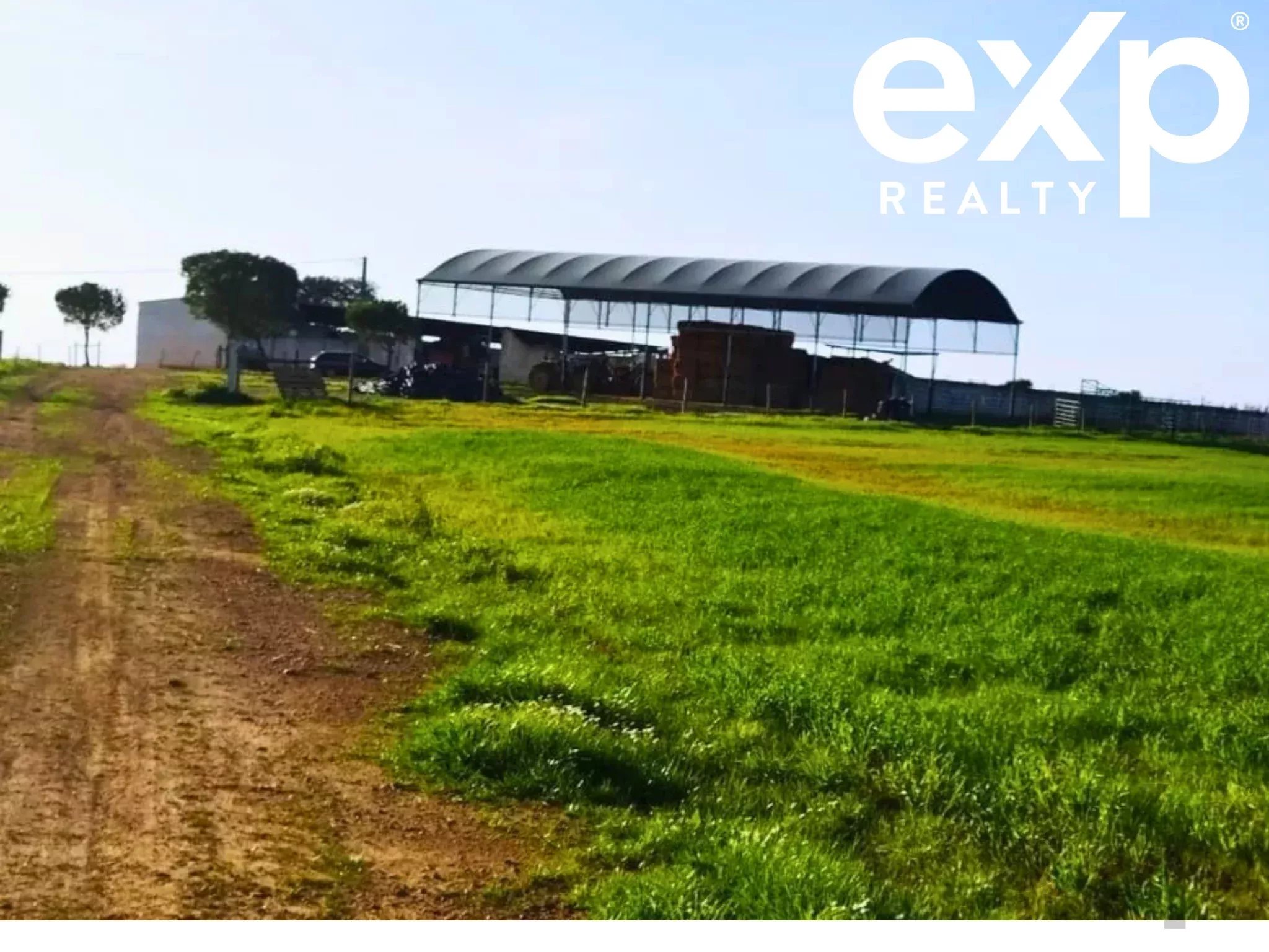 Herdade para Gado -Baixo Alentejo (Insurance for investors, funds and ICNF) 86742404 image 3