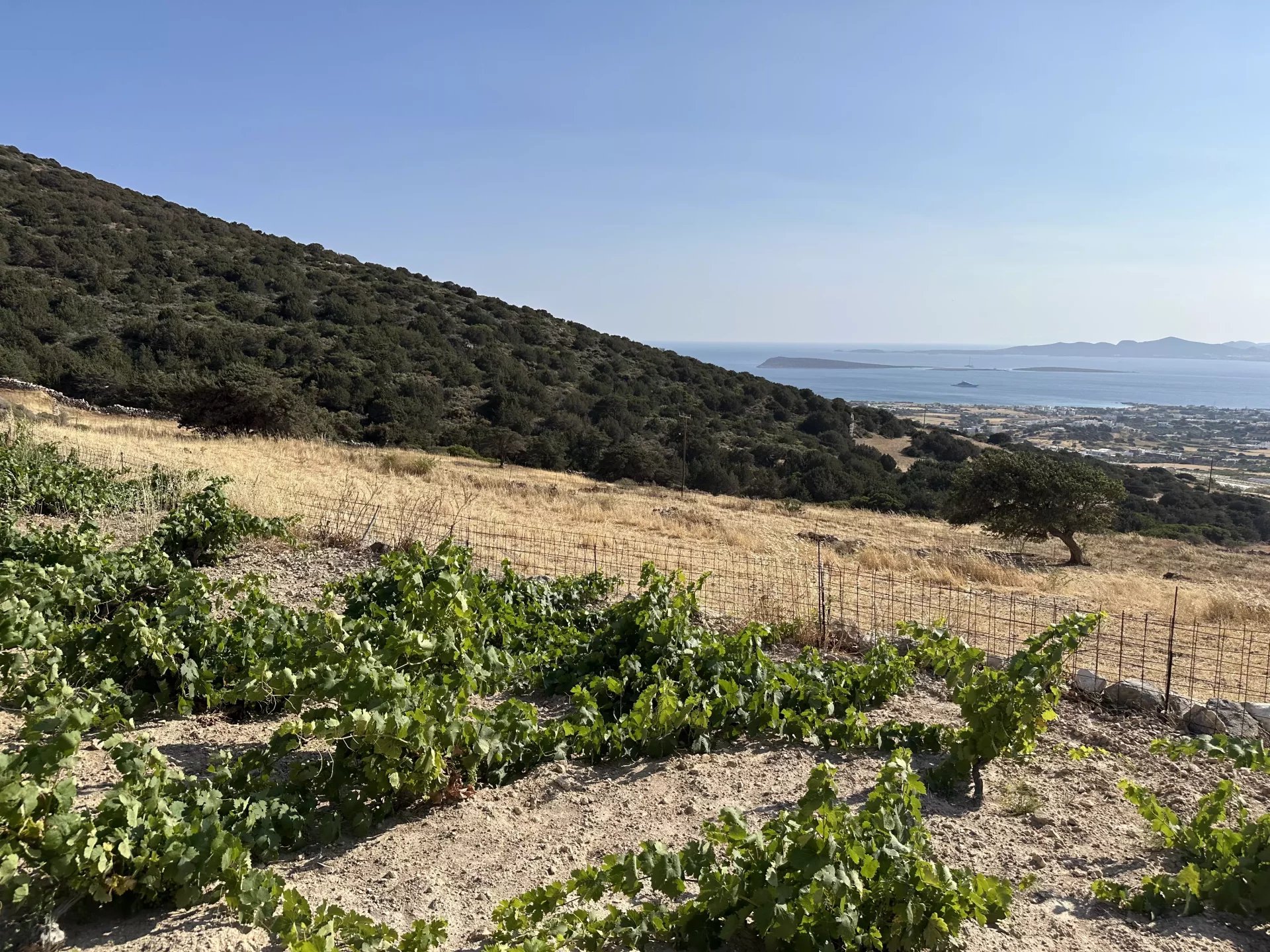 Image de la propriété 15