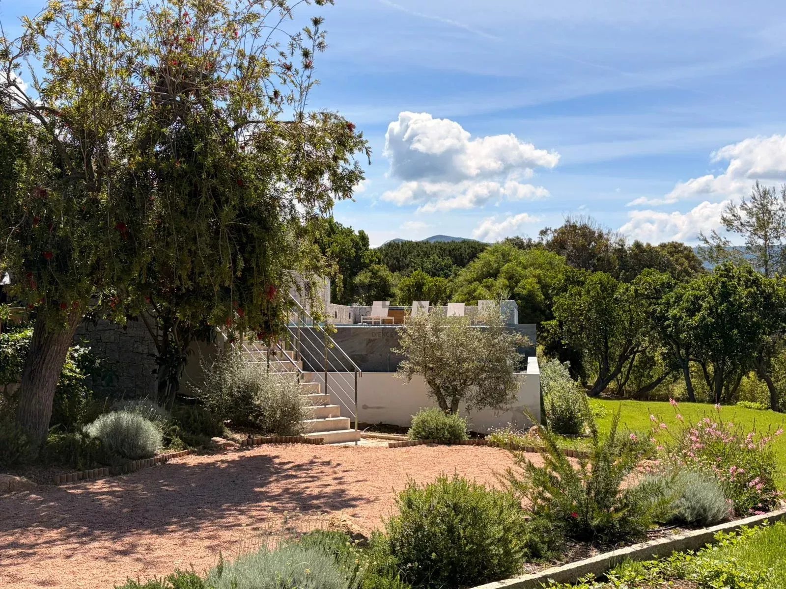 Photo numéro 21