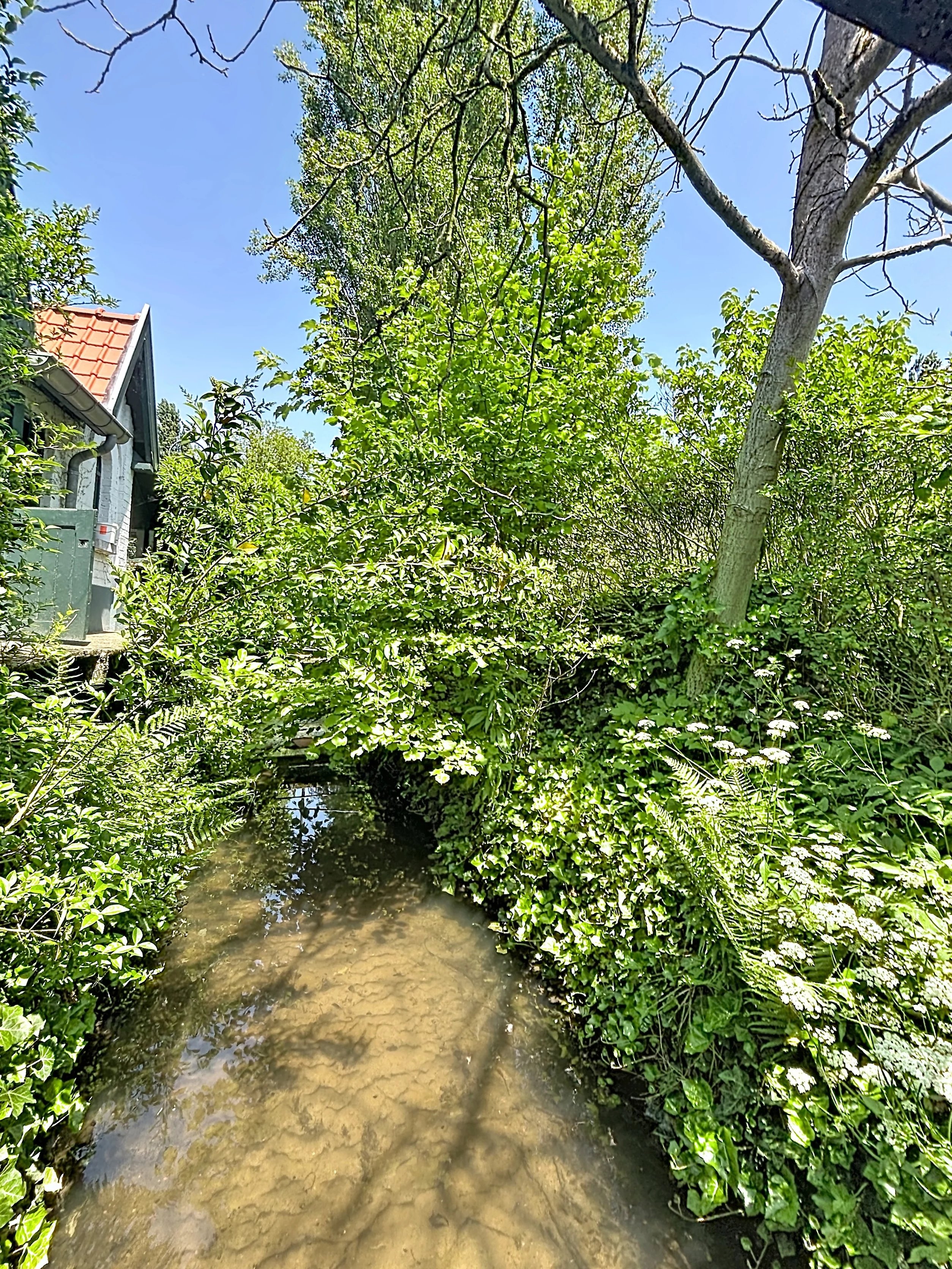 Woluwe-Saint-Pierre  - Maison  - picture 14