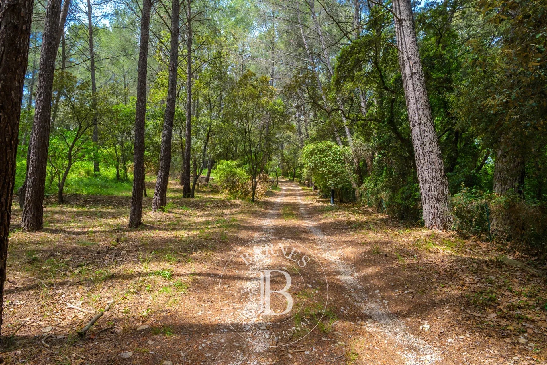 Mülkiyet Le Castellet