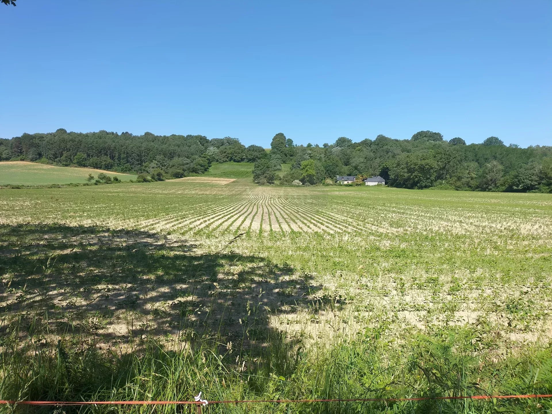 Terrain agricole de 9ha70 - Photo 2