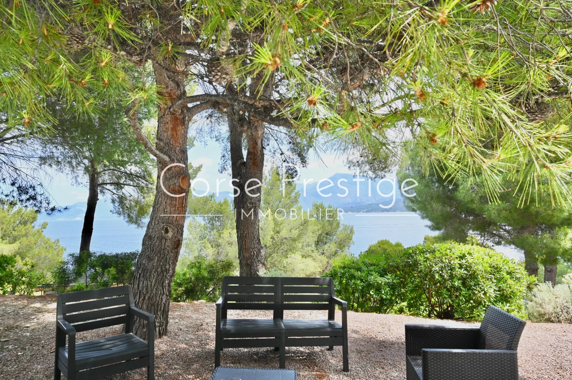 propriete exceptionnelle - pieds dans l-eau - saint florent - haute corse image6
