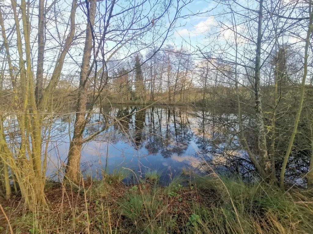 Vente Terrain Sainte-Cécile