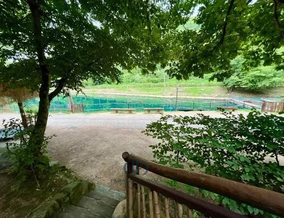 Malikane Valganna - picture 26